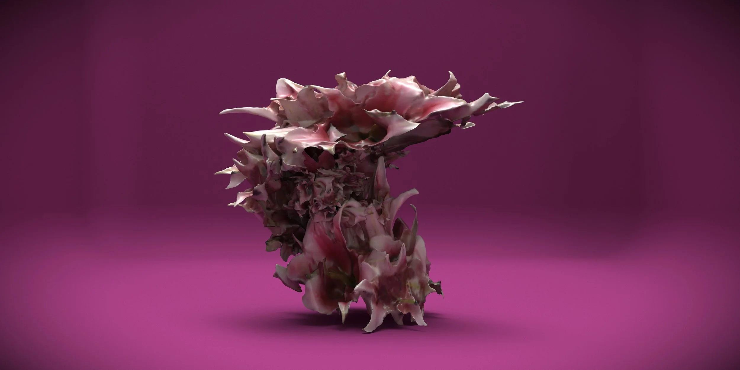 Plaza De Toros - Mexico City