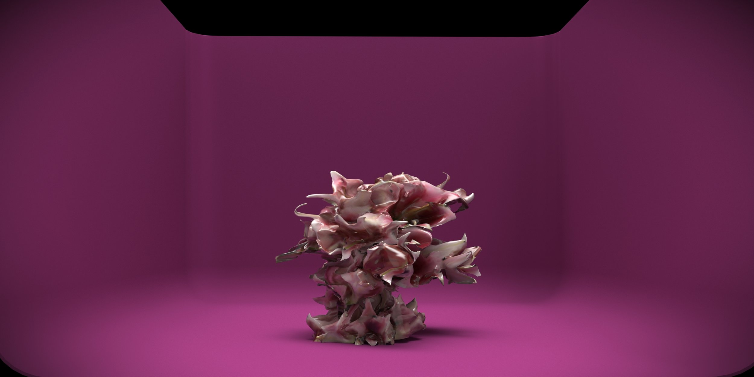 2025.03.21 01_21.jpg