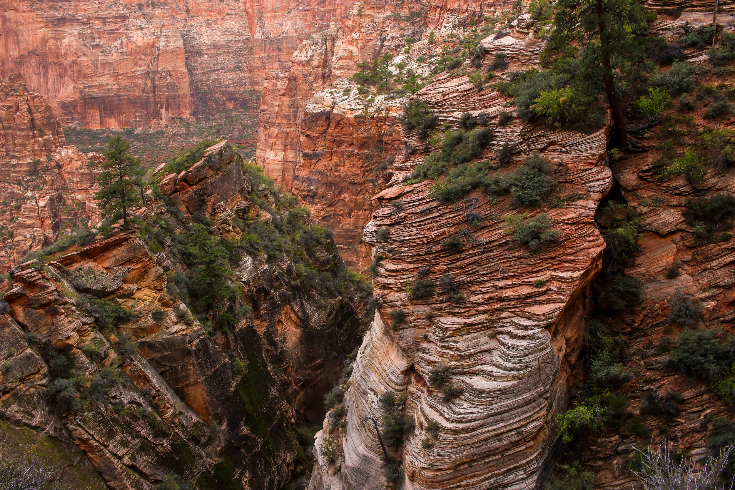Zion National Park