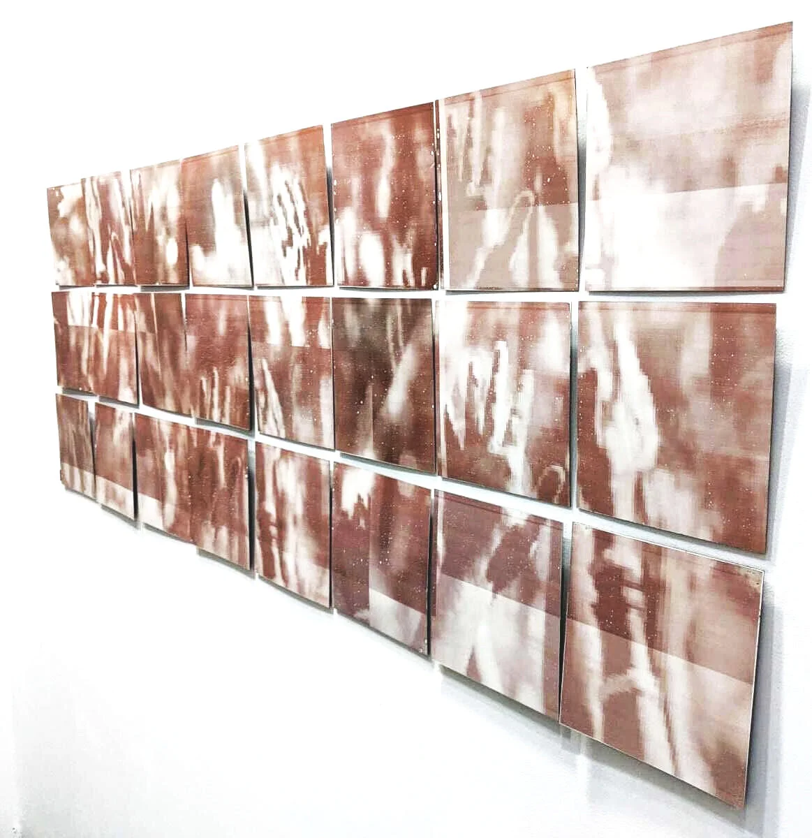 Controlled Wild: steel, enamel, decals