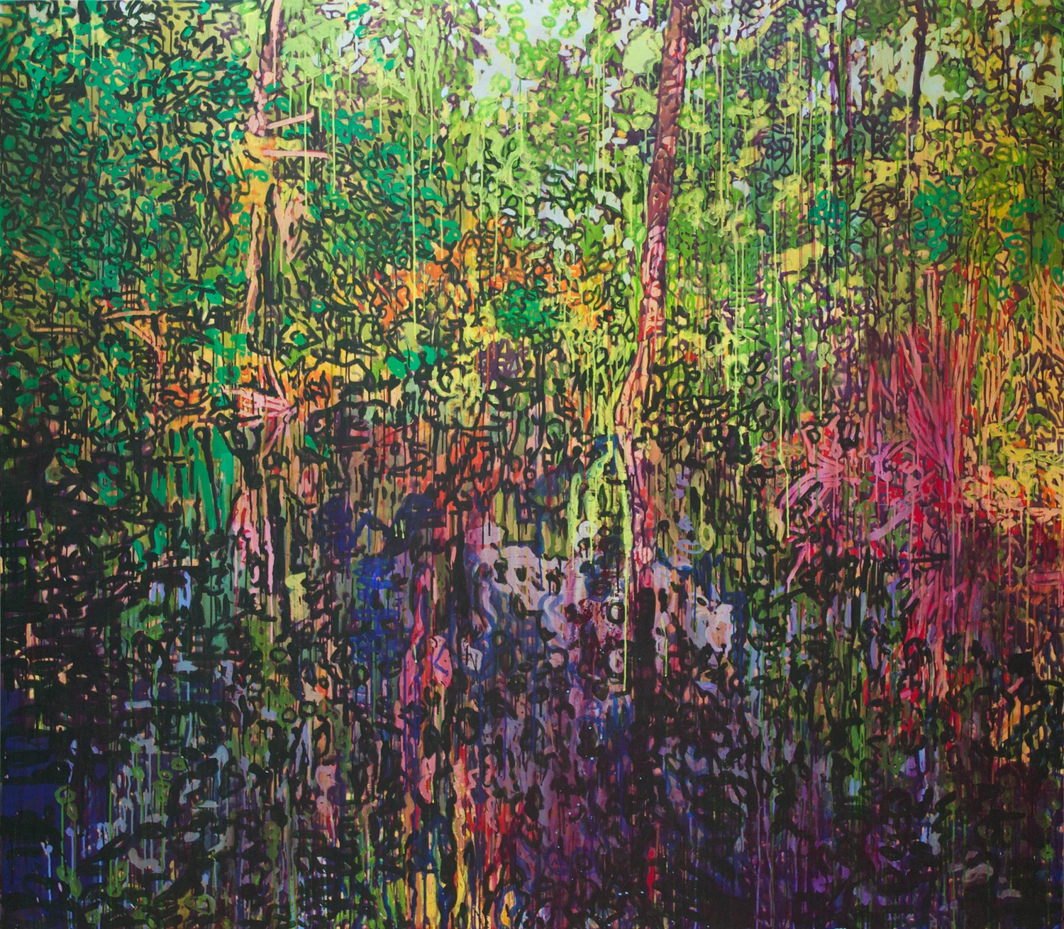 CRoberts-Deep-Forest-Reflection.jpg