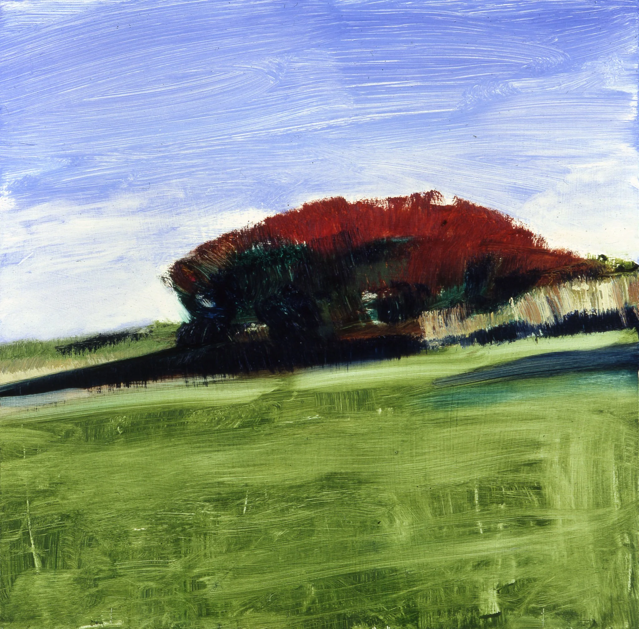 Sumach, 2002,oil on board, 15x15.JPG