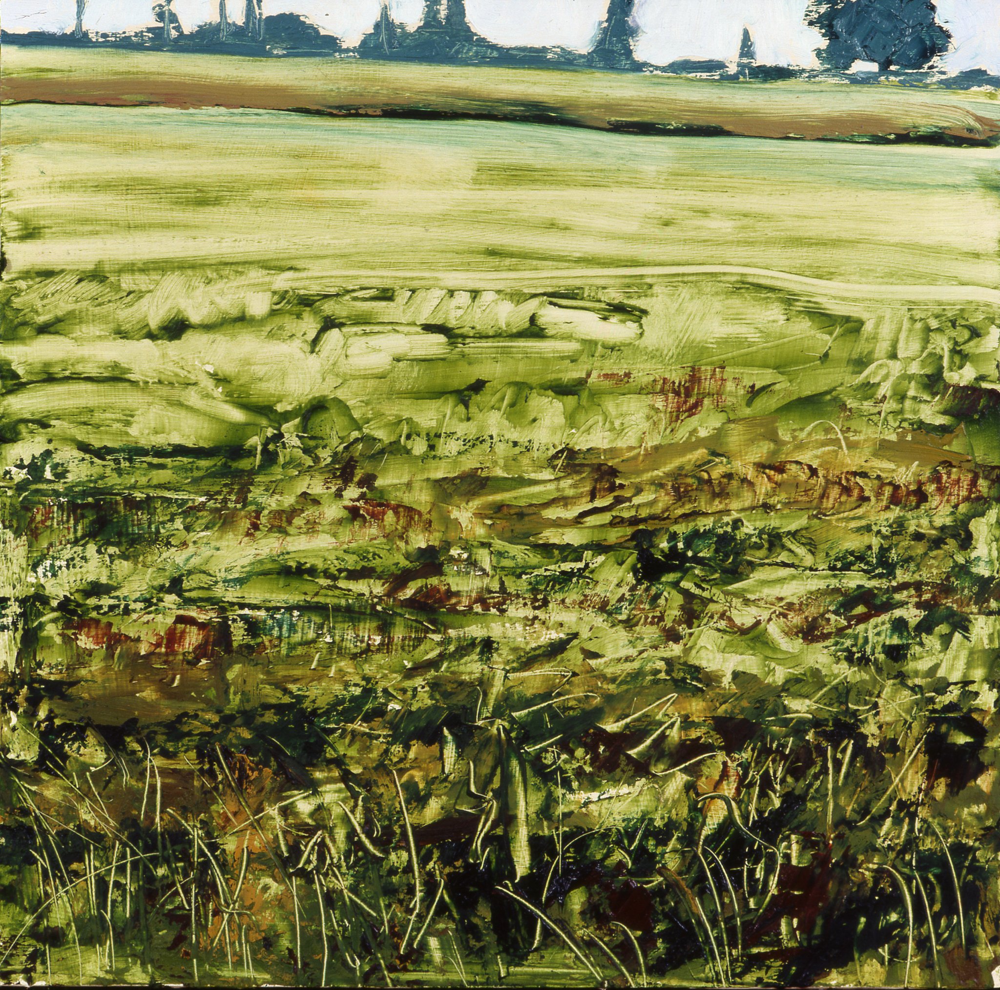 Field, 2002, oil on board, 15x15.JPG