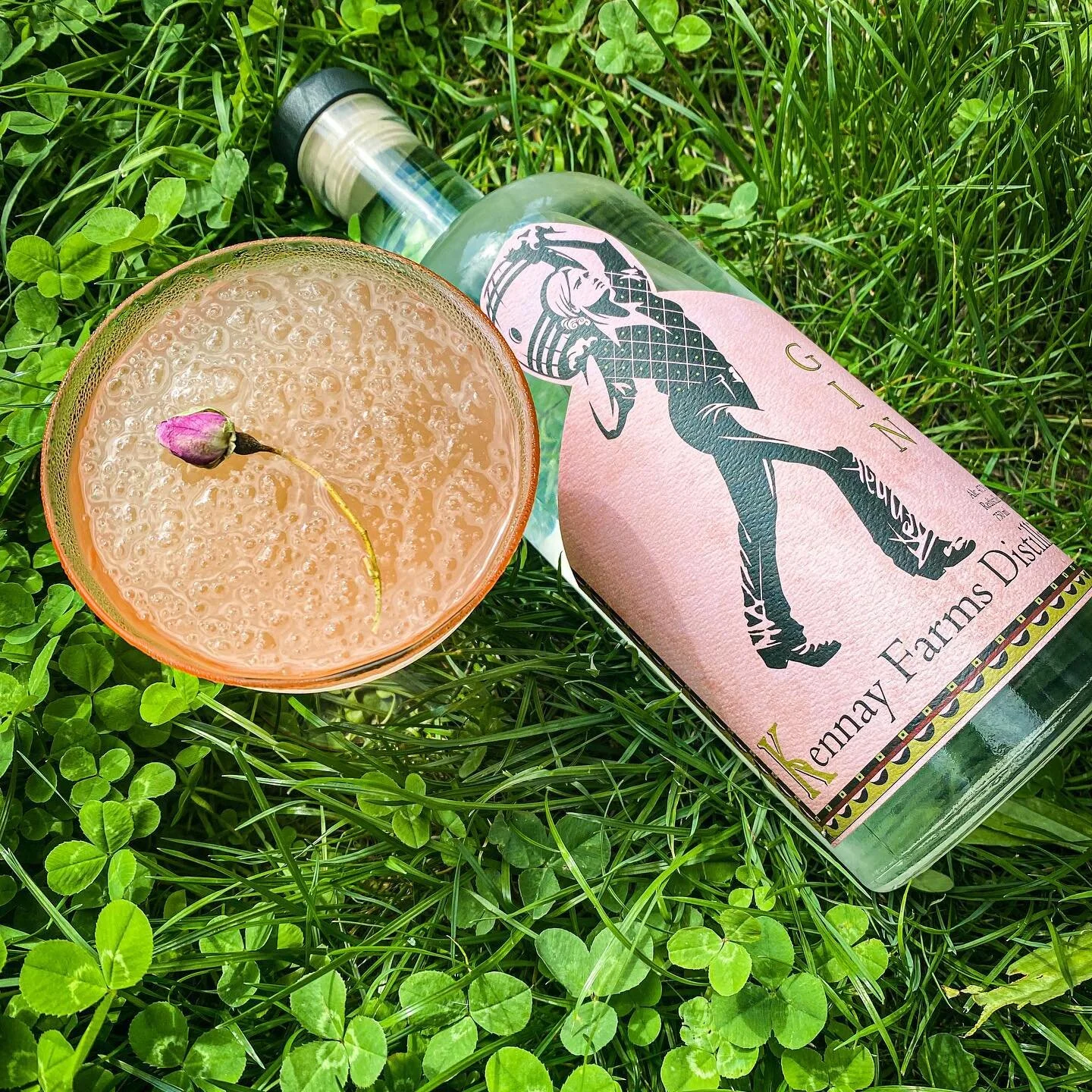 @kennayfarms gin with @frenchpooltoy fros&eacute; is pure summertime magic ✨
☠️
#dotd #cocktaildevelopment #femalebartender #womenwhobartend #cocktailrecipes #cocktail #recipes #drinklikeabartender #rose #frose #gincocktail