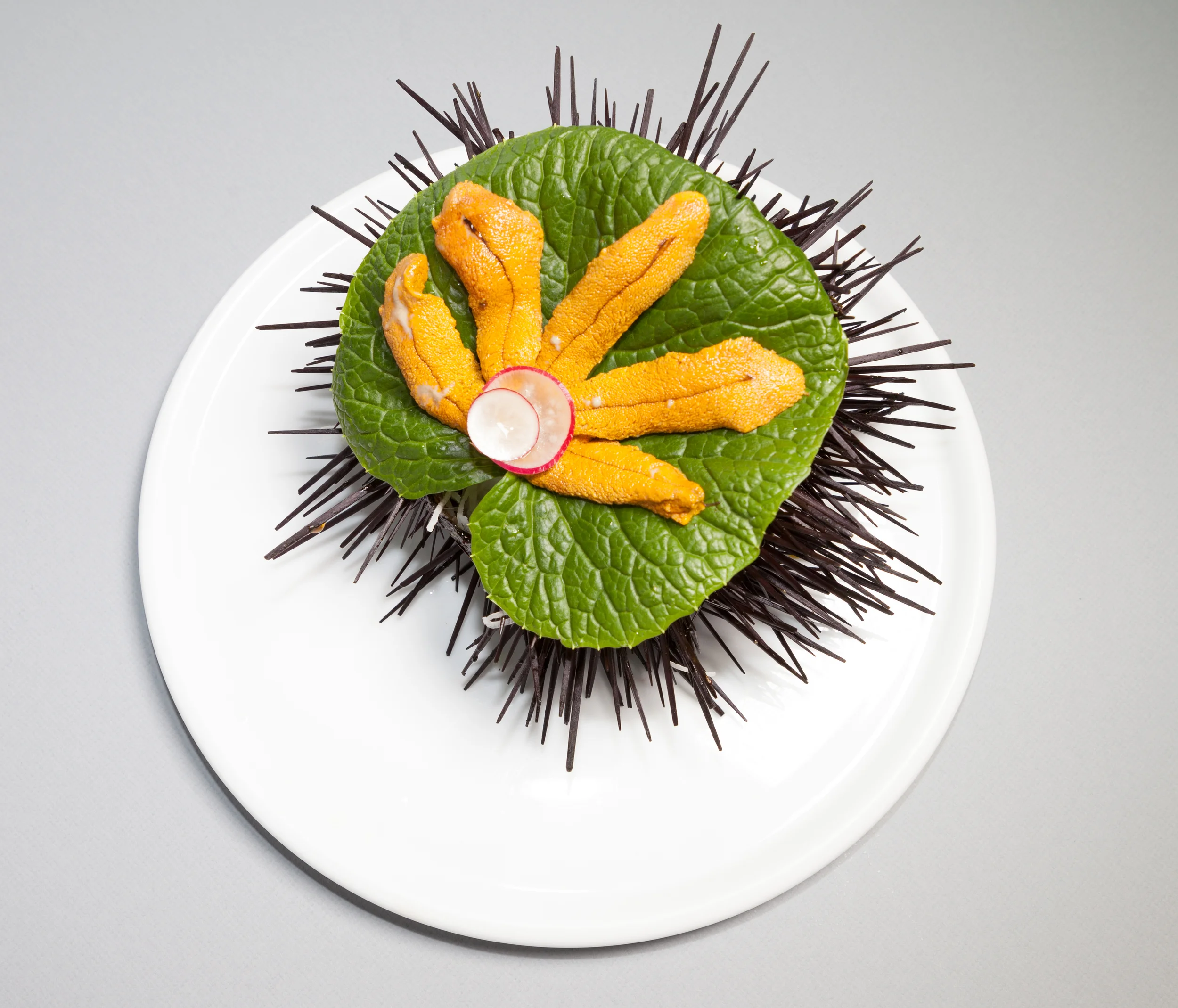 hikarisushi-22.jpg
