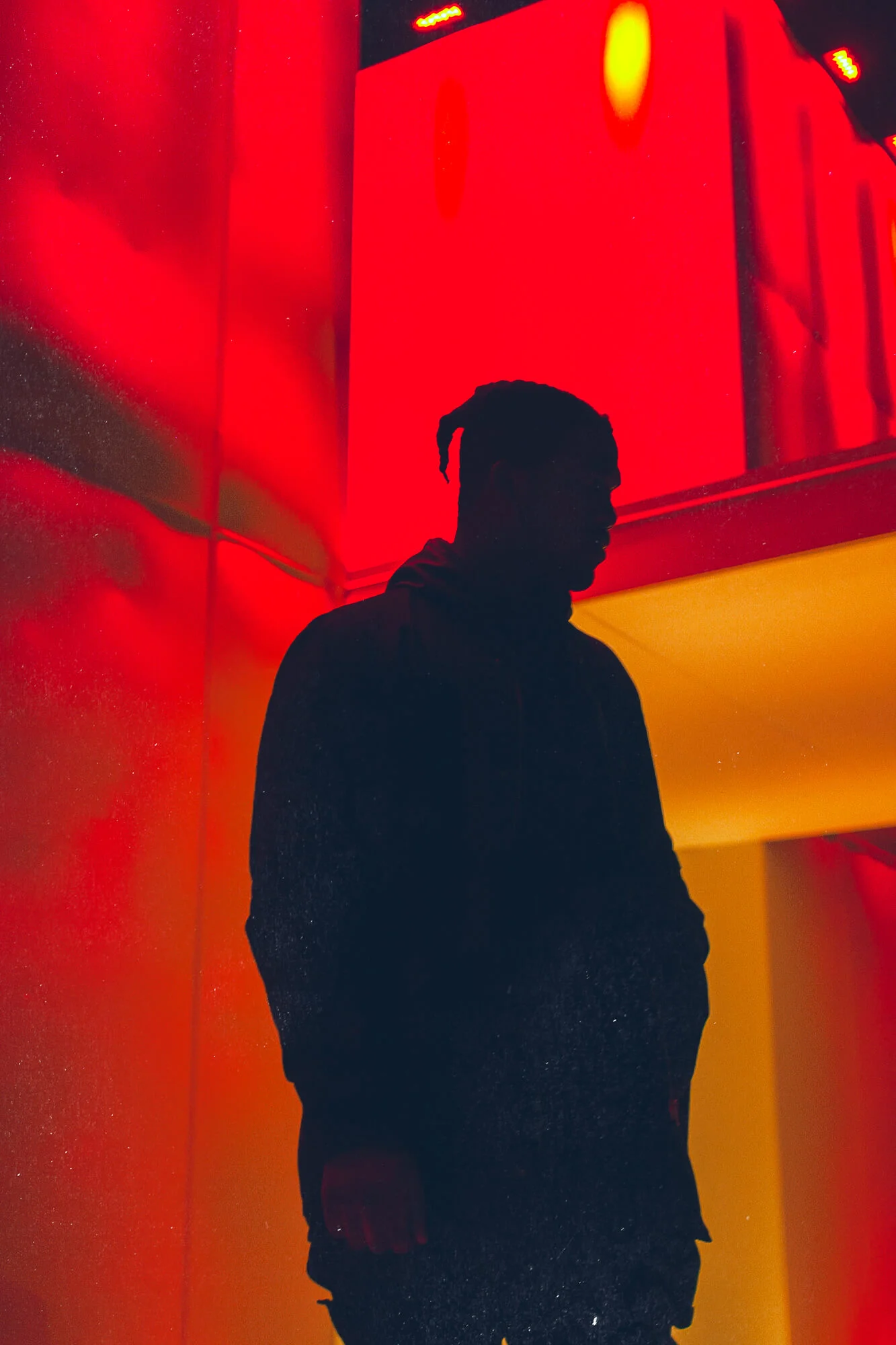 derekwise--5.jpg