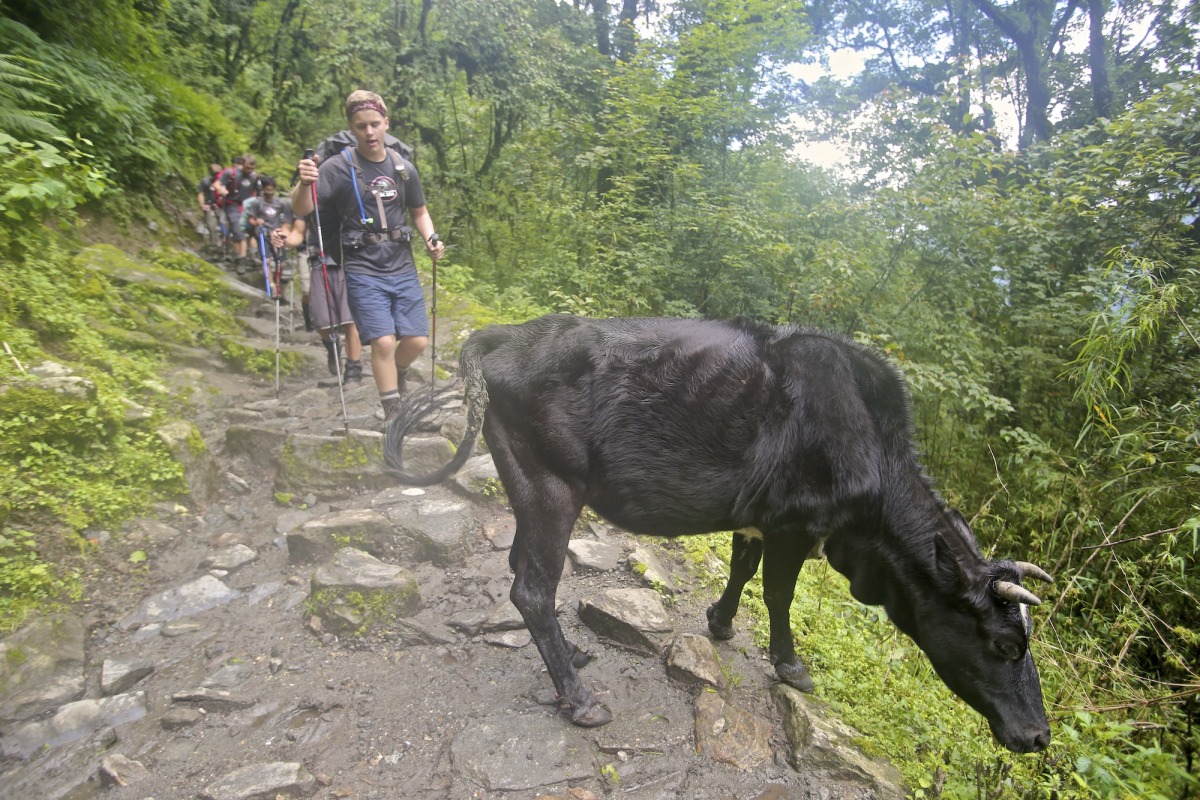 nepal2014_t845++256.jpg