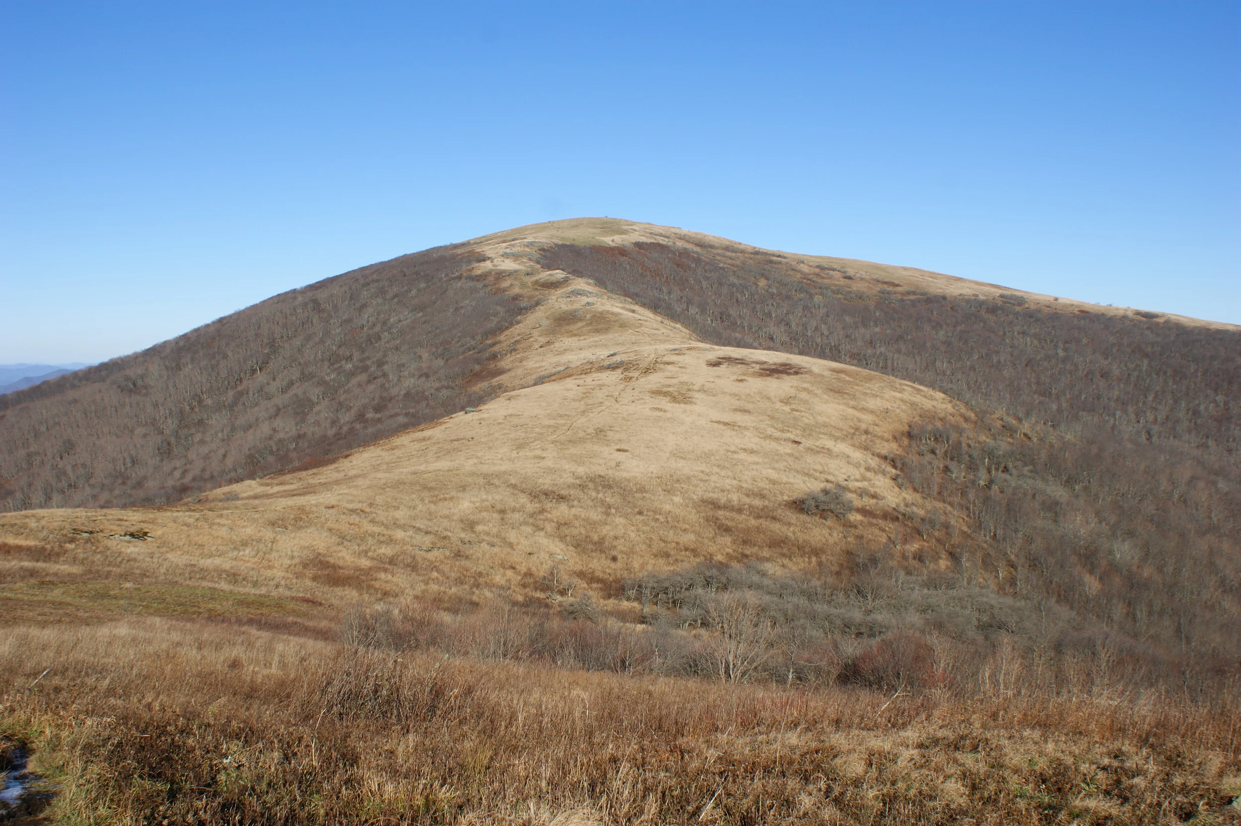 DSC08094.JPG