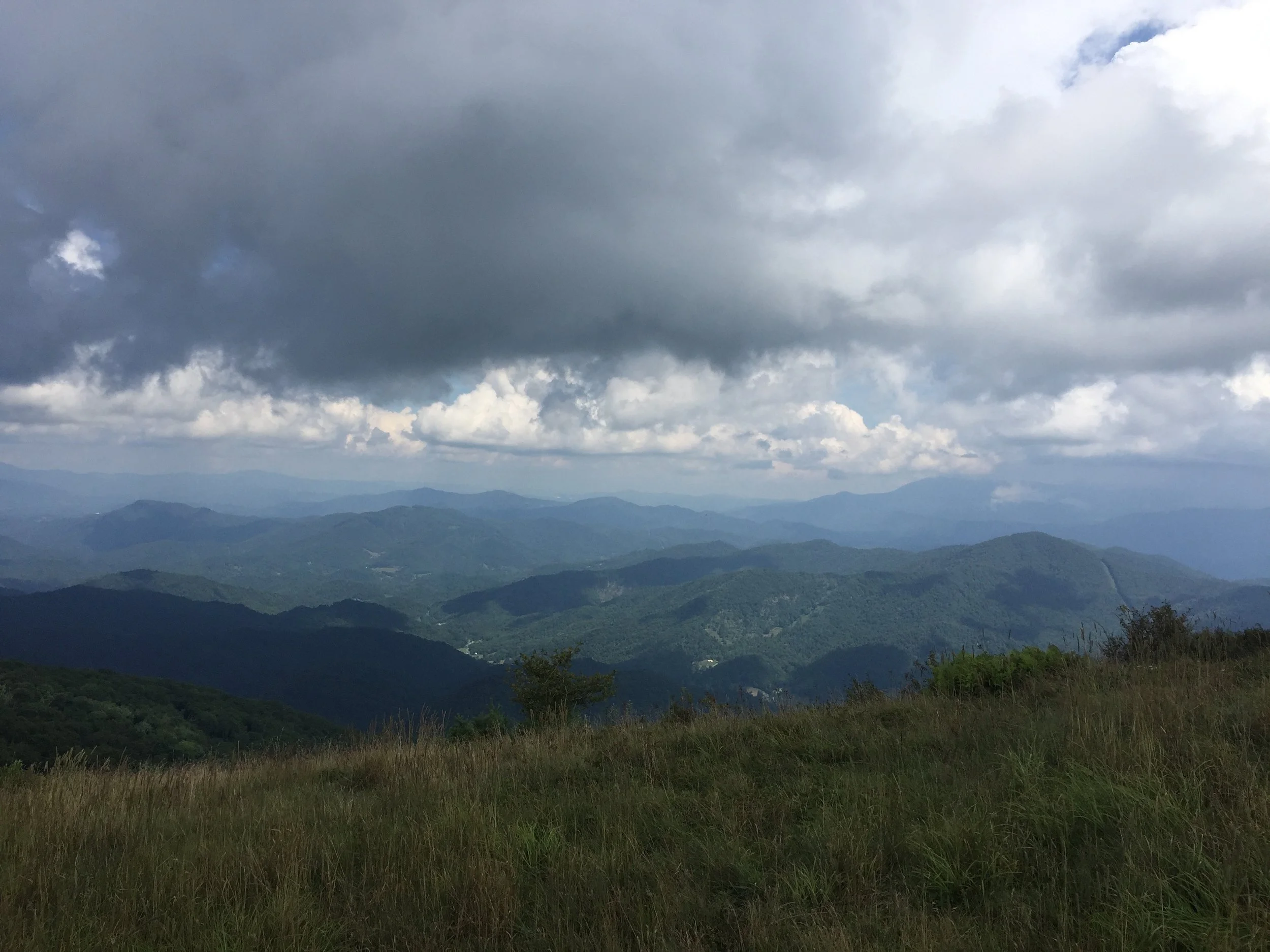 IMG_1828.jpg