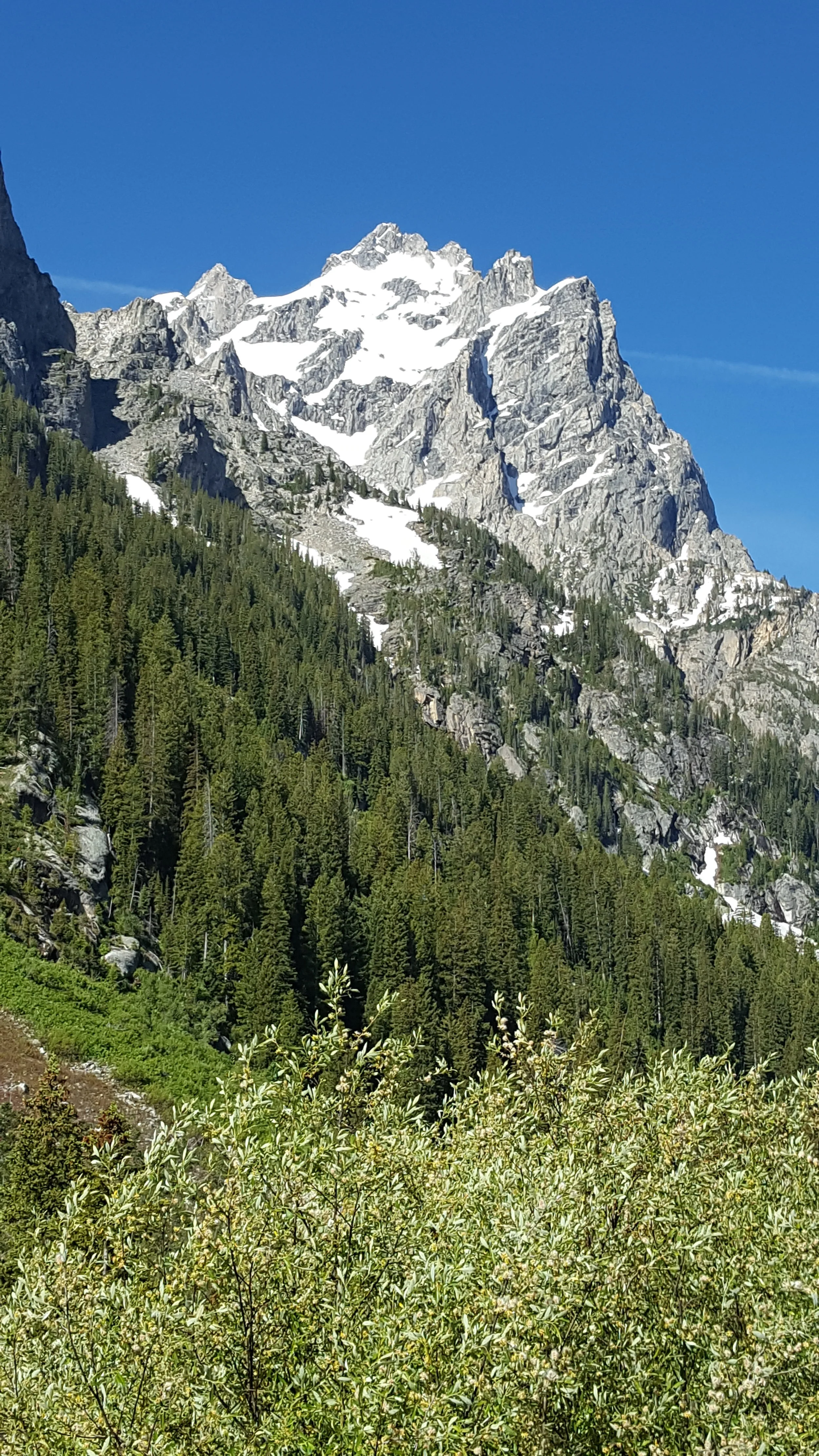 20170701_092630.jpg