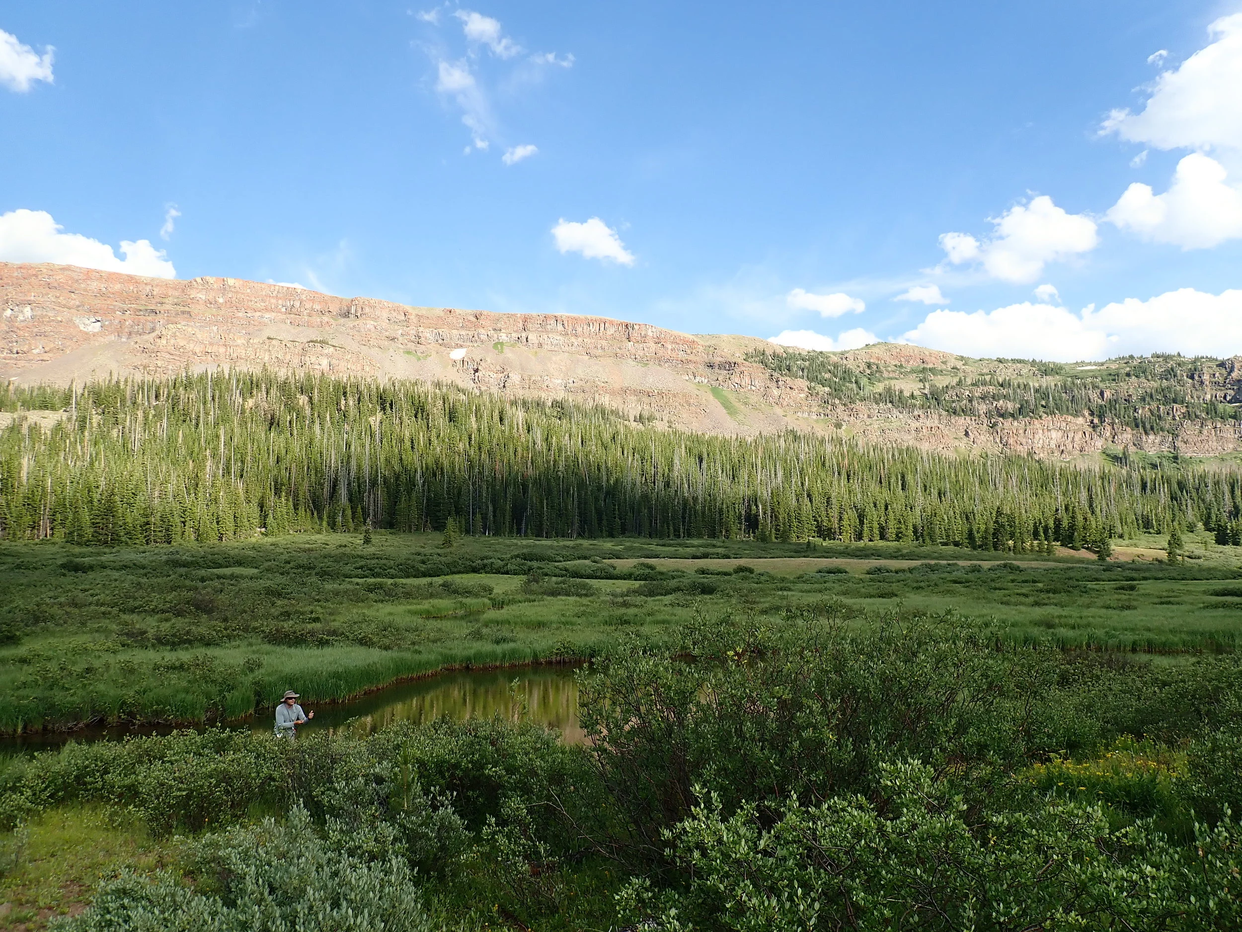 Copy of P7180005.JPG