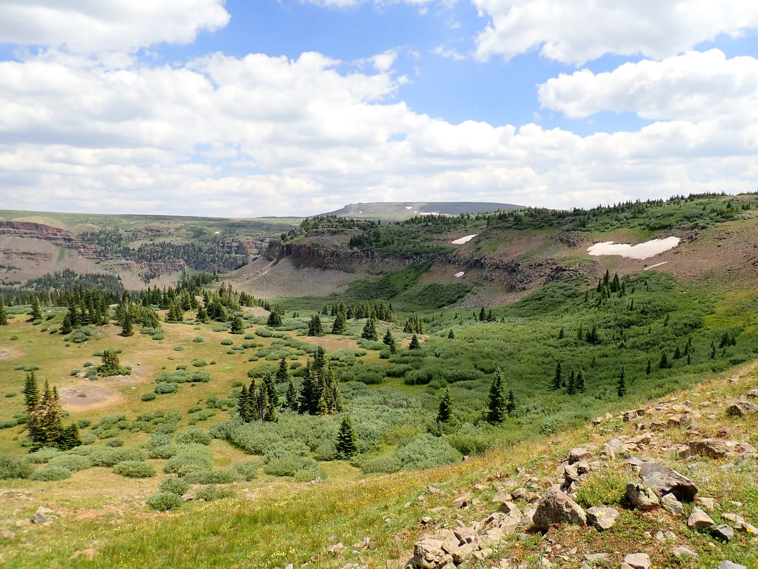 Copy of P7180222.JPG