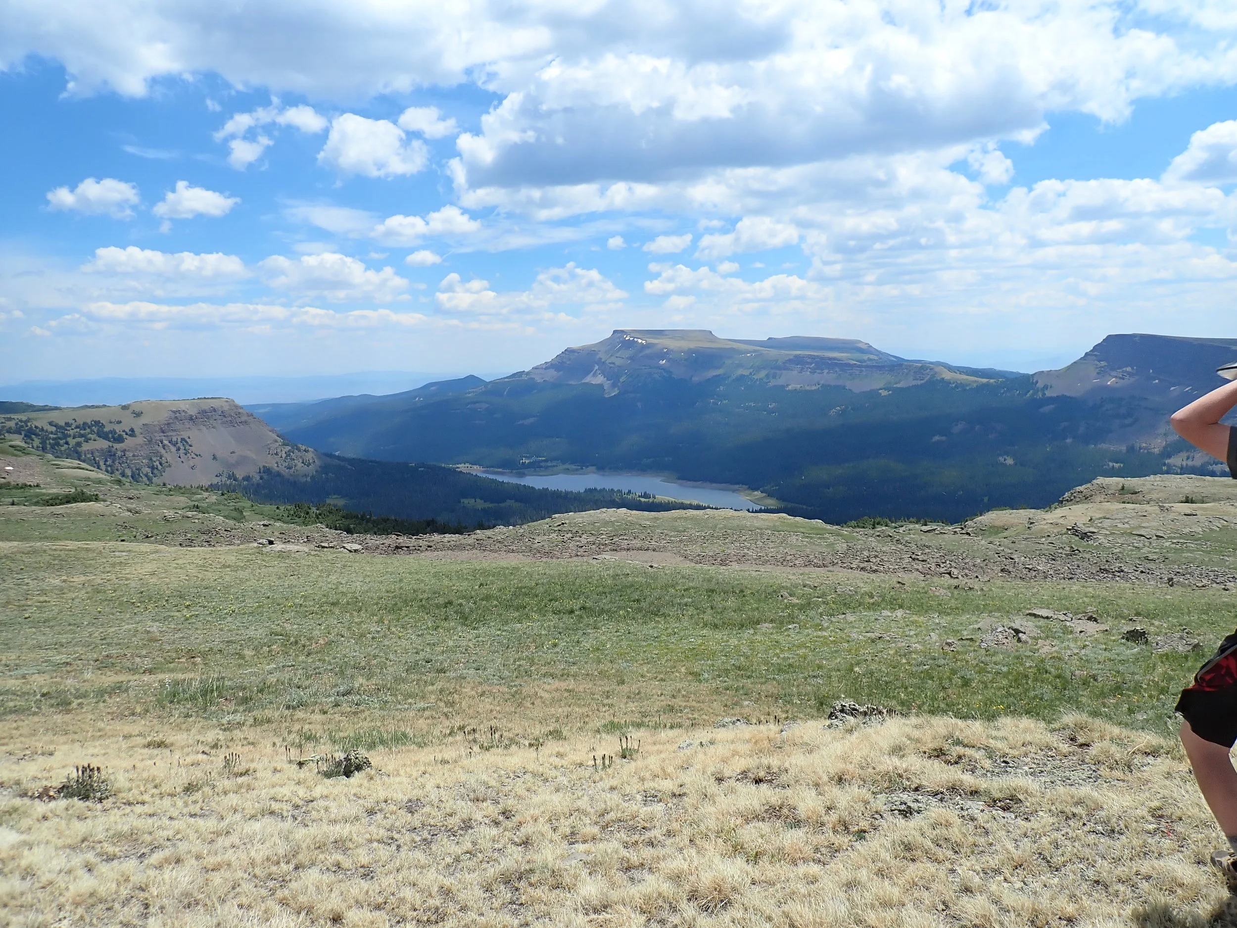 Copy of P7180188.JPG