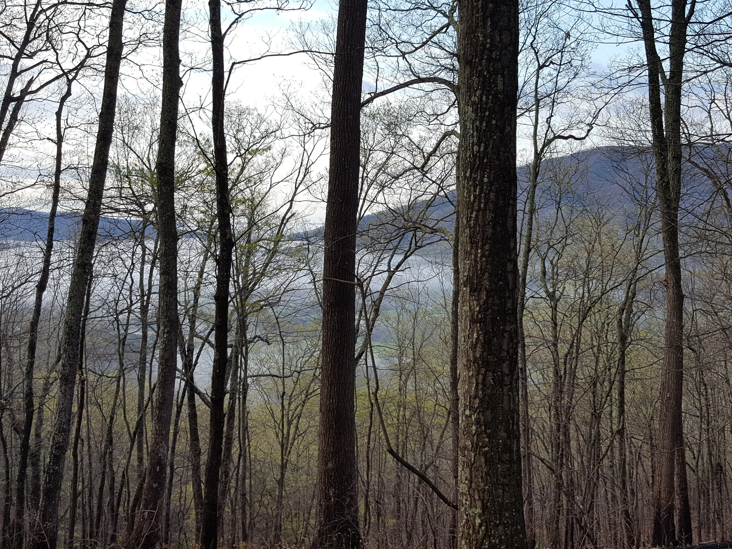20190413_080559.jpg