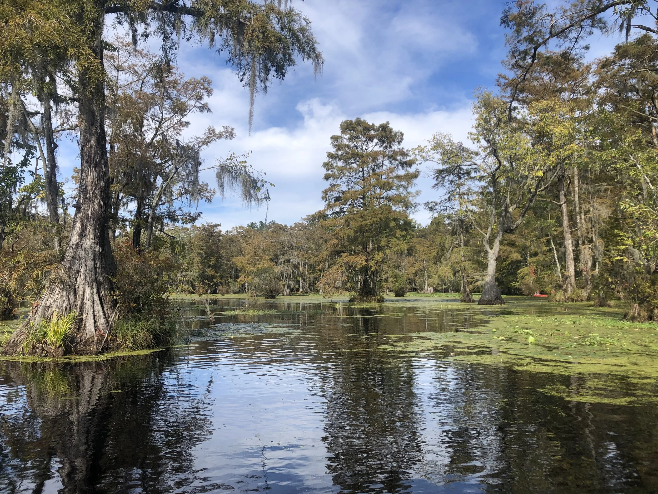 Merchant_s Millpond9.JPG