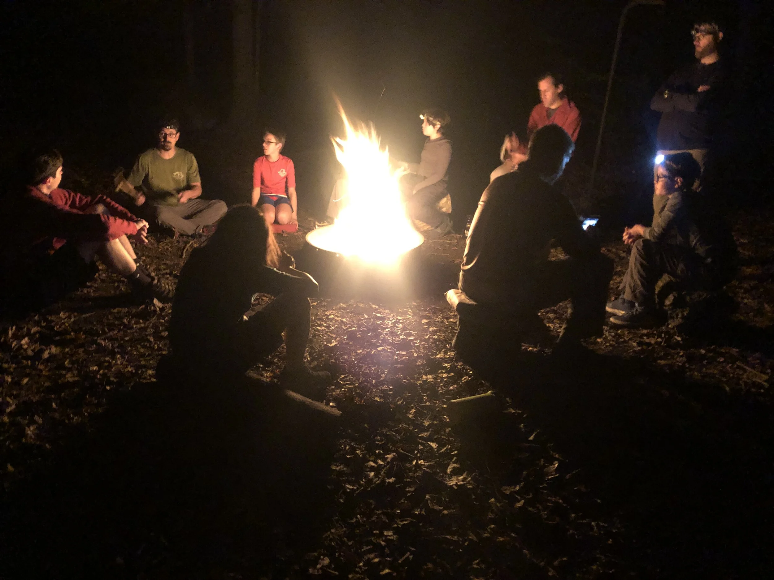 Merchant_s Millpond14.JPG