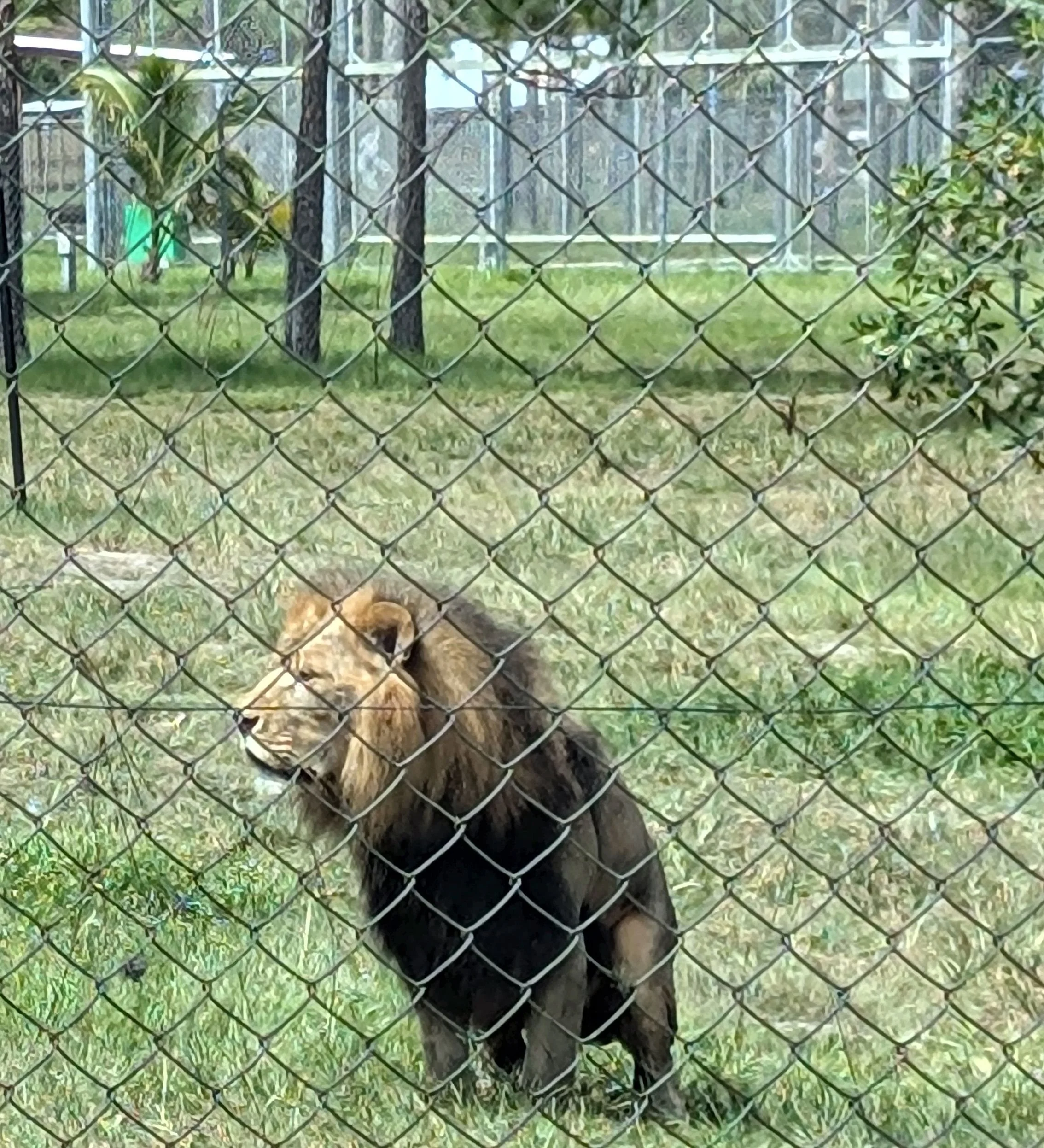 Scanned_20250816-1354-11.jpg