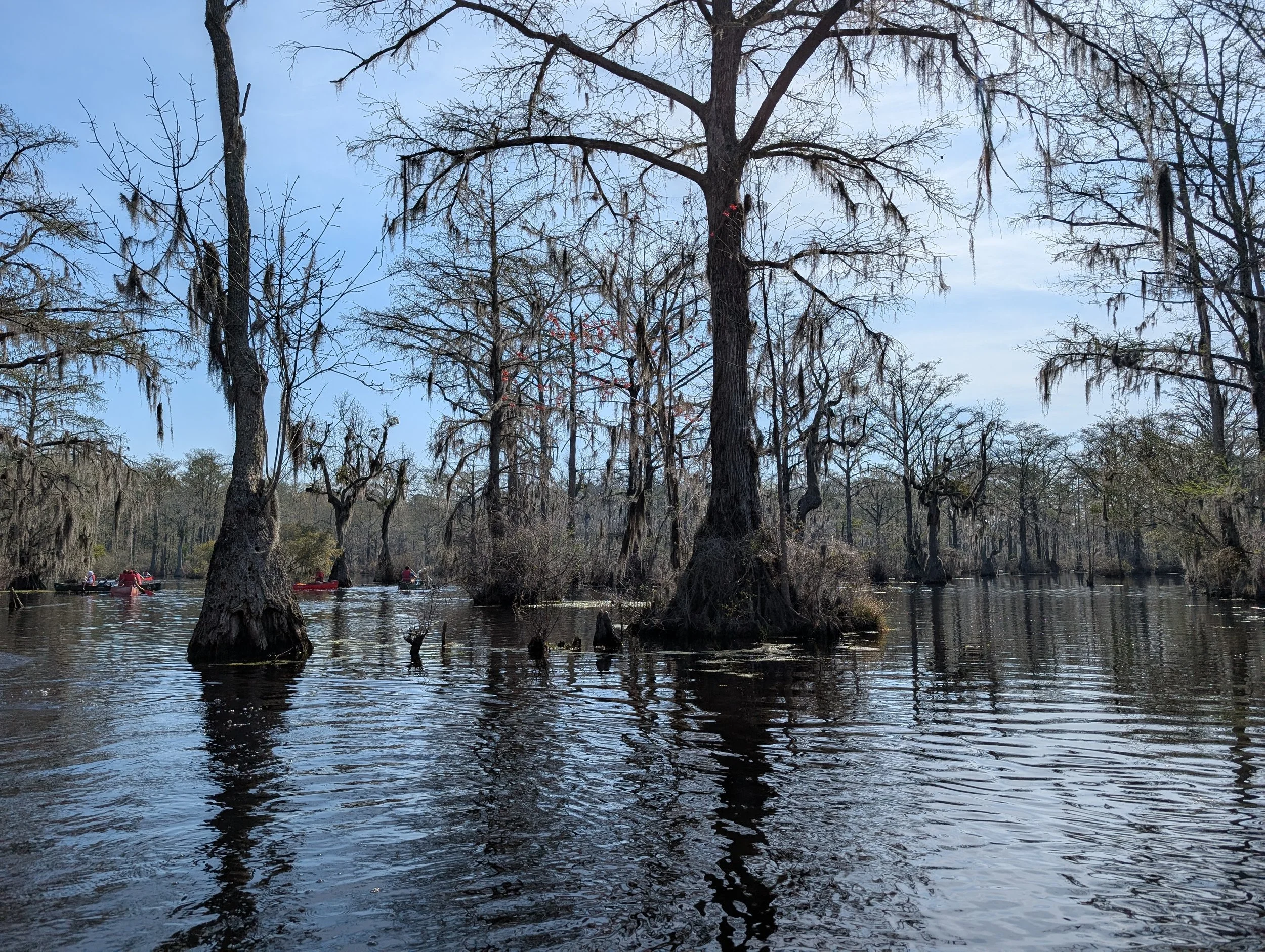 PXL_20260321_150639526.jpg
