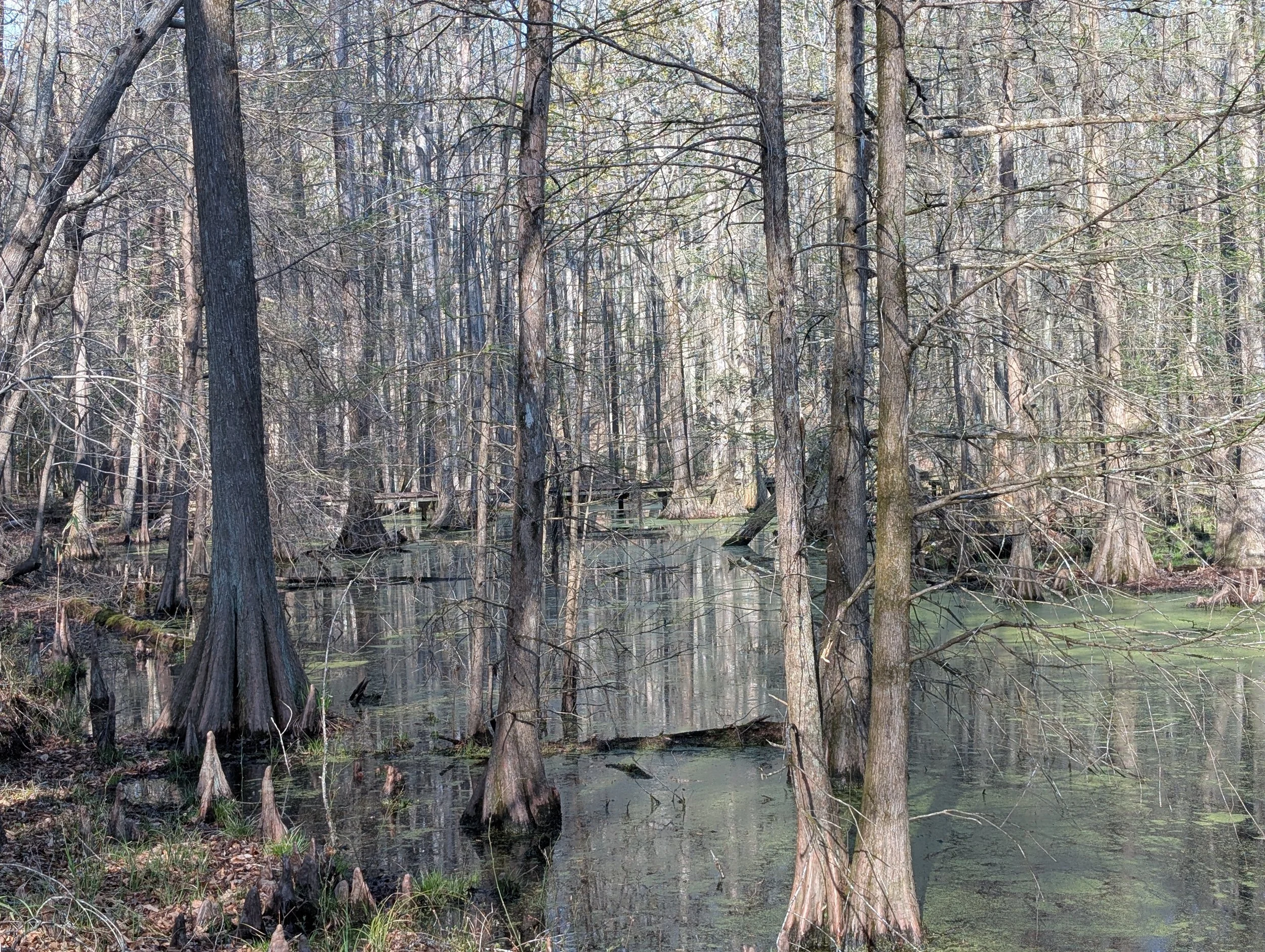 PXL_20260321_210509195.jpg