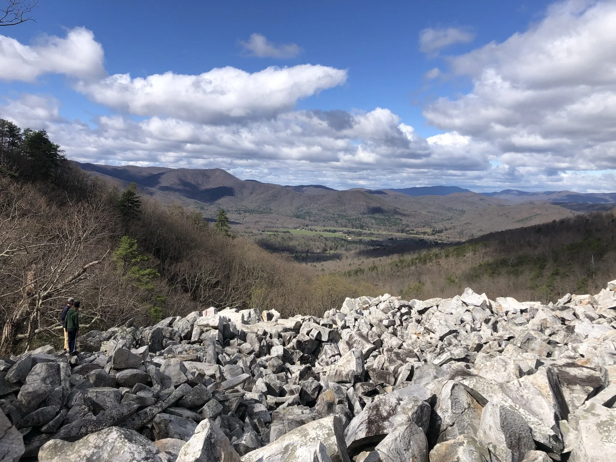 IMG_1779.JPEG