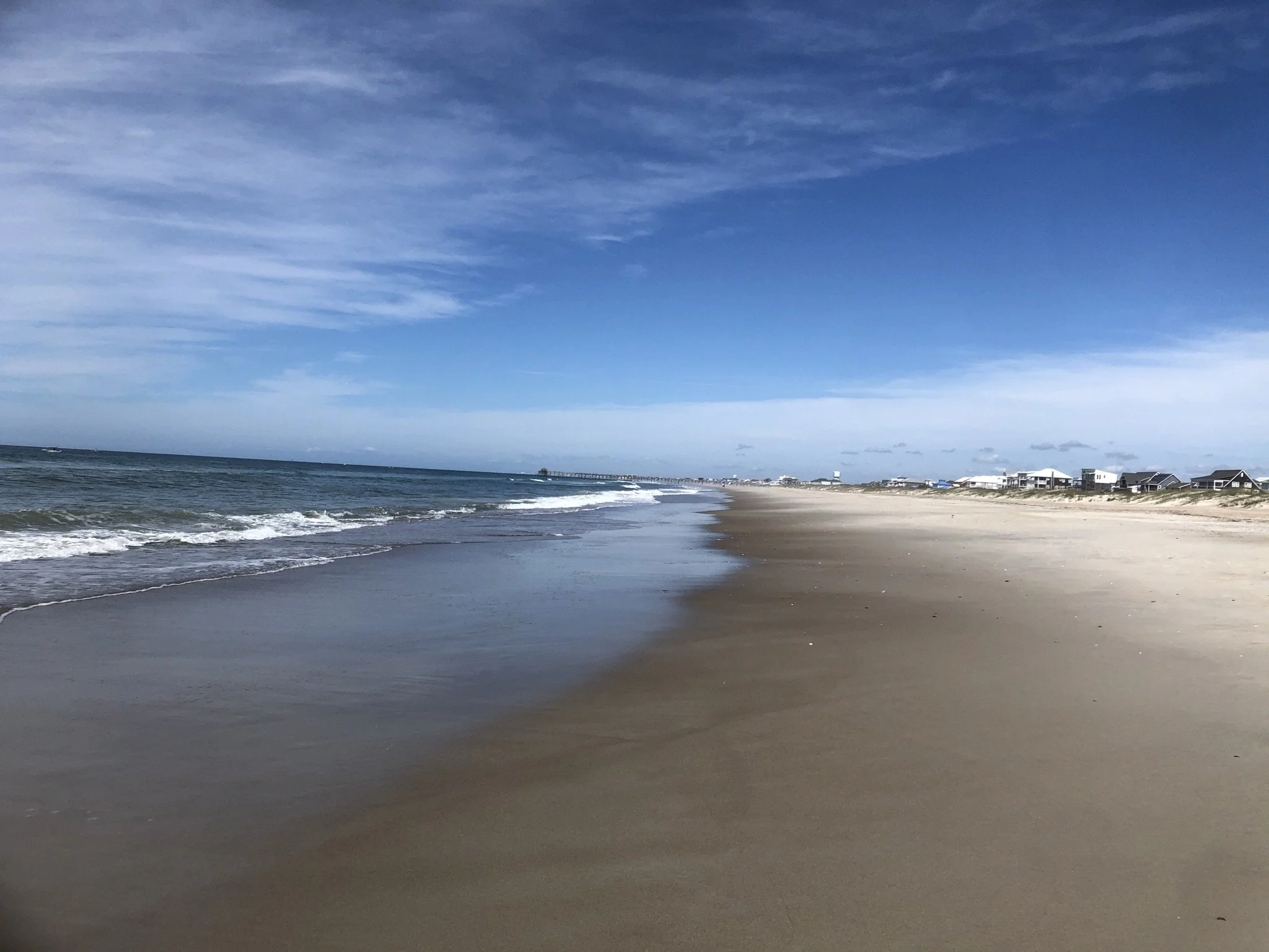 IMG_1818.JPEG