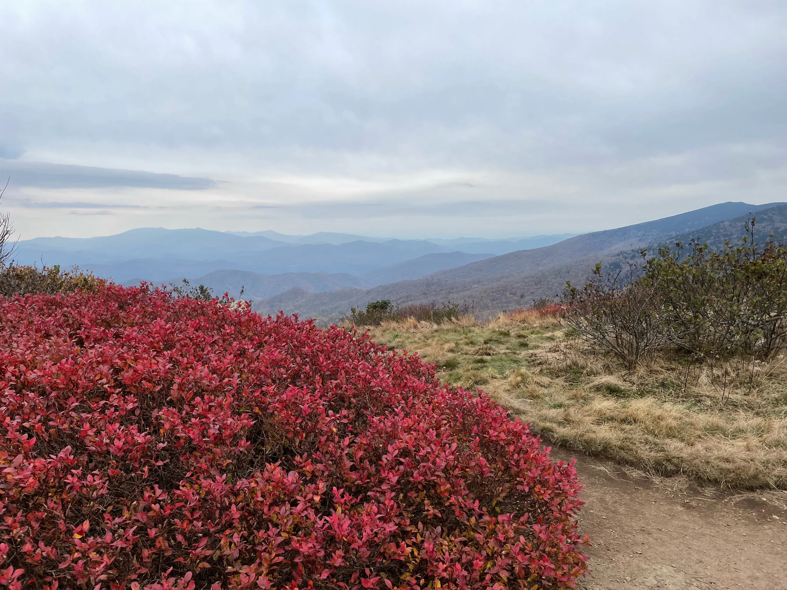 IMG_3330 (1).jpeg