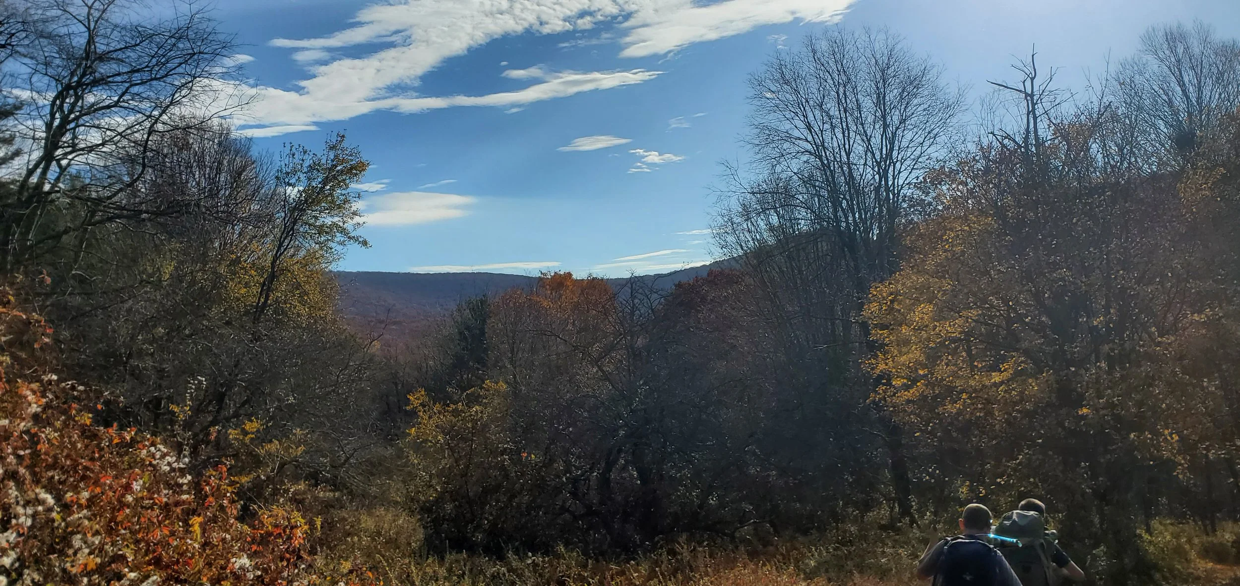 20231029_100736.jpg
