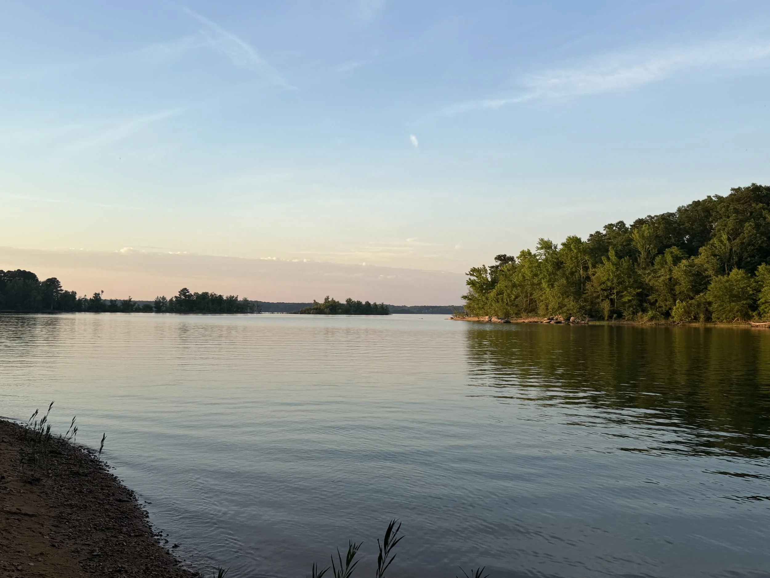 IMG_9403.jpeg
