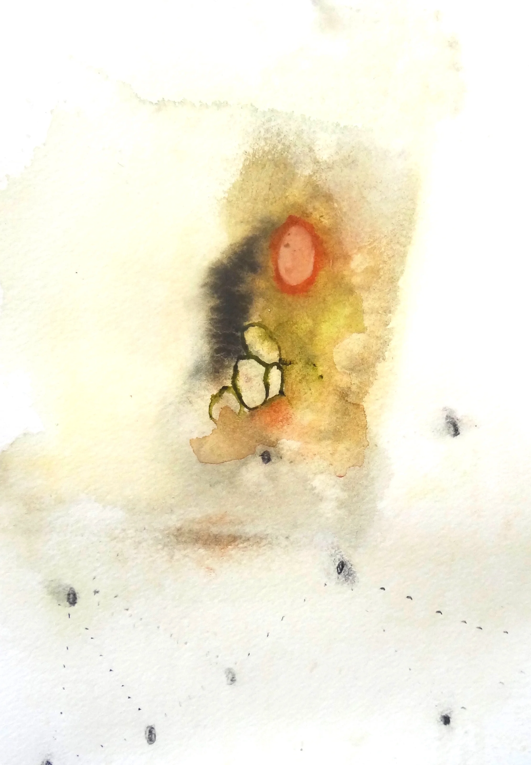 Watercolor Study