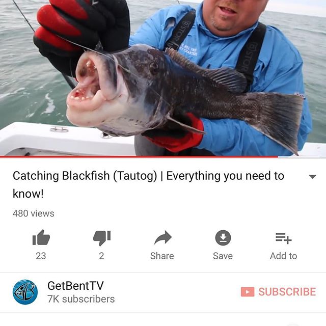 😳 Quite possibly one of our 🚨best🚨 cinematic productions to date!!!! Everything you need to know about catching GIANT Blackfish or what is commonly known as Tautog (bob barker voice)!! 👆Link in the Bio 👆SUBSCRIBE &amp; Enjoy Homies!!!!👆 @getben