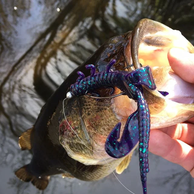 Don't miss our CINCO de MAYO ESPECIAL MANANA!🌮🌮🌮on el TUBE de YOU!(link in bio)🐓 #muchosgracias #pleasesubscribe #newvideo #cincodemayo #cincodemayoparty #newengland #massachusetts #massachusettsphotography #catchfishnotfeelings #catchandrelease #fishingvideo #fishingvideos #pigpatrol #bassachusetts #earlyseason #massfishing #massbassboys #bassfishing #largemouth #largemouthbass #pesca #pescatarian #mexico🇲🇽
