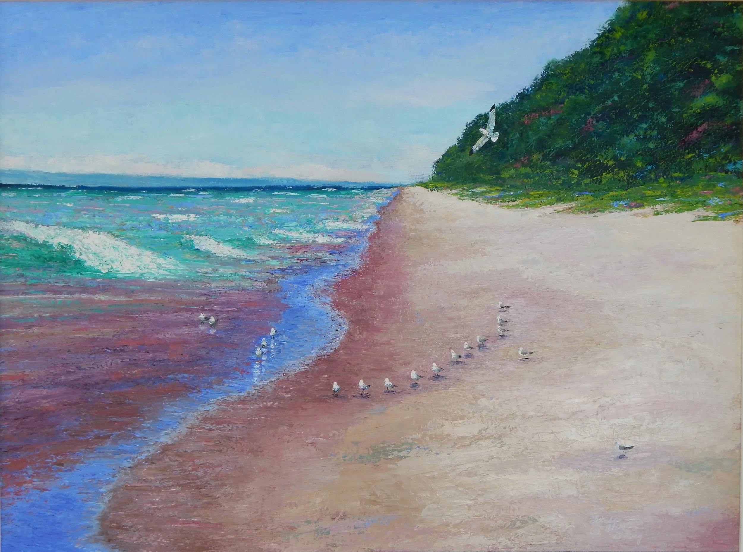 Solo Flight 2016.JPG