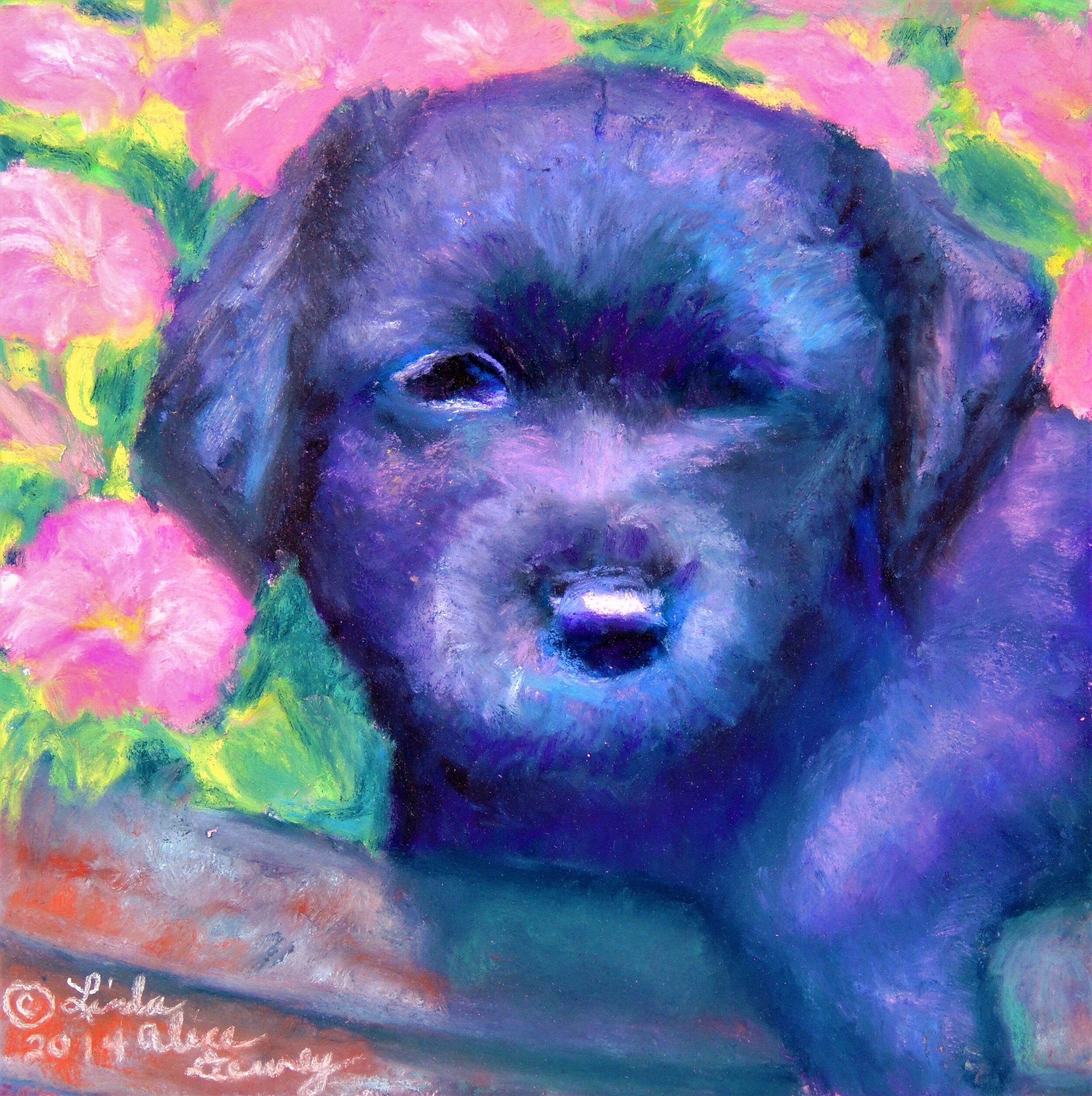 Charlie, Pastel, 5 x 5.JPG