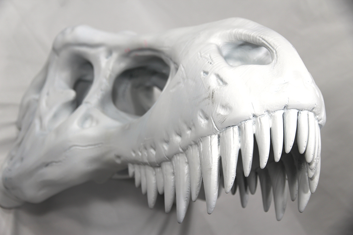 Copy of T-Rex Skull