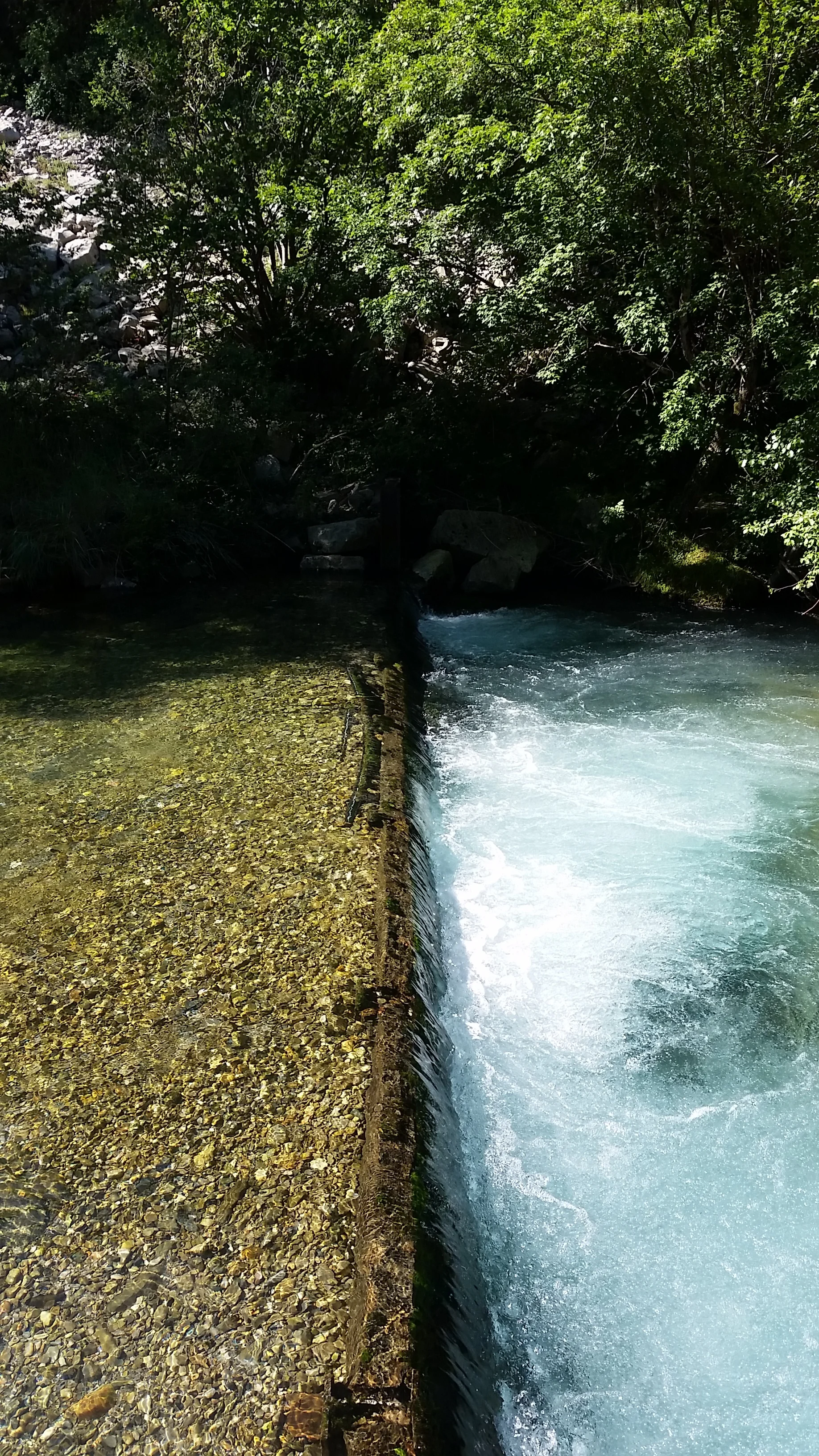 Crime de Lez-majesté