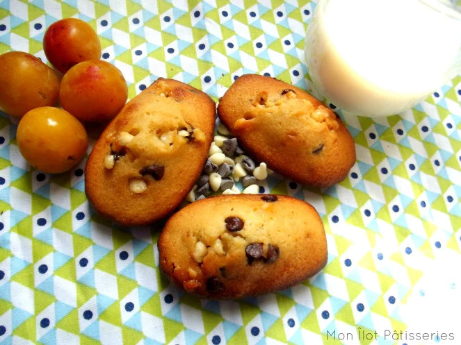 madeleines-final_v2_vf.jpg