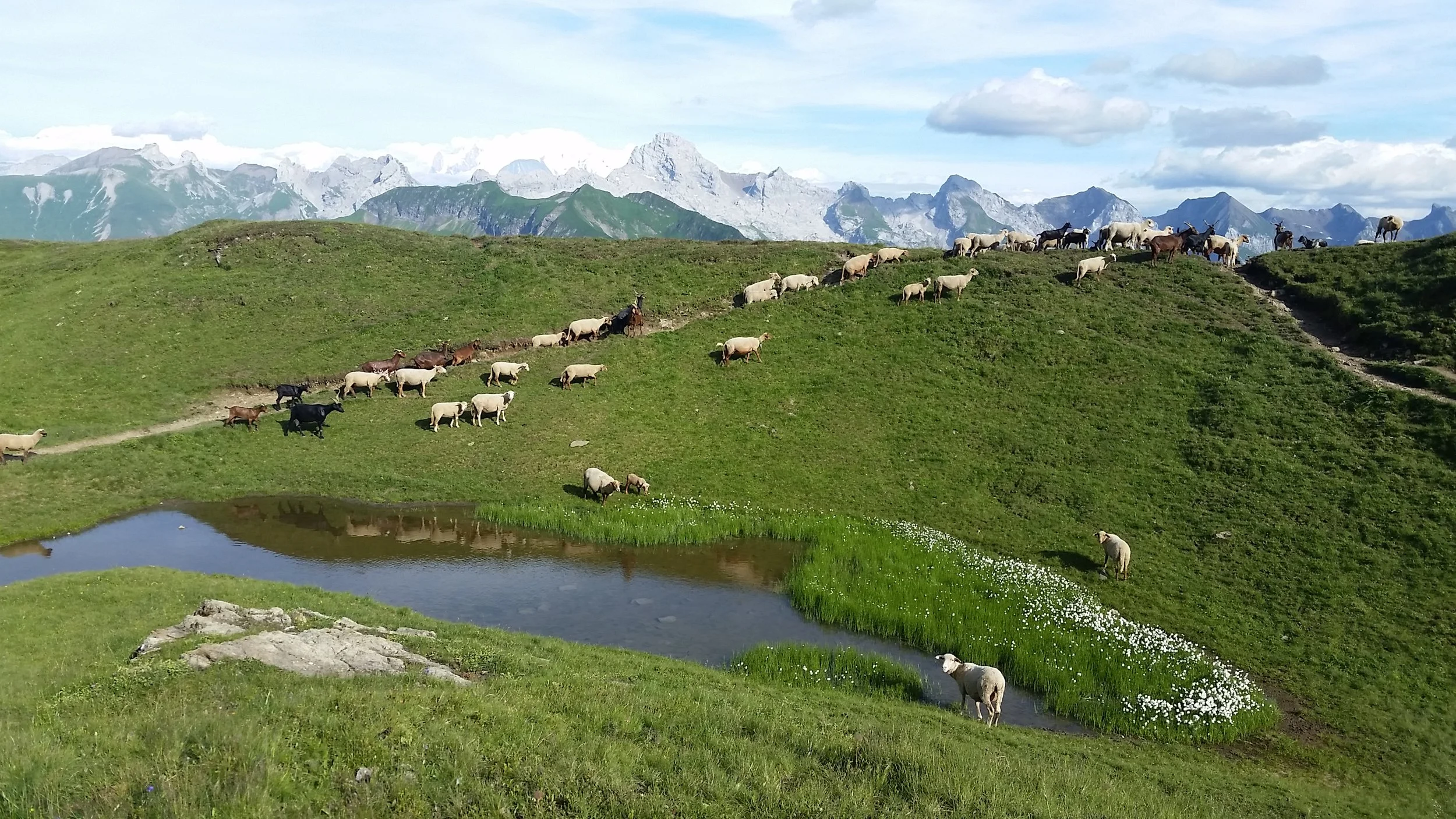 L'appel de mes 15 ans