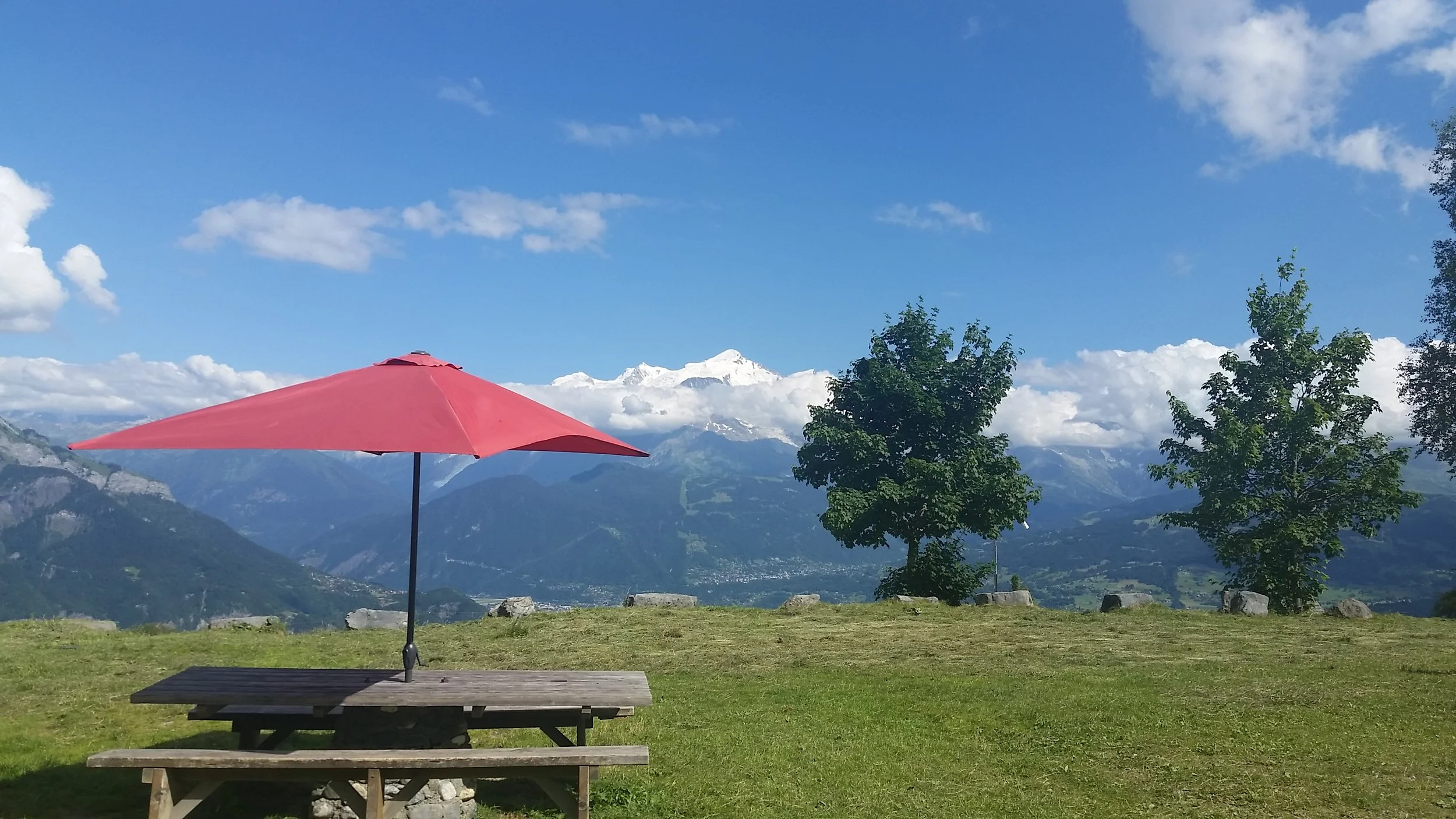 20170713_163349.jpg