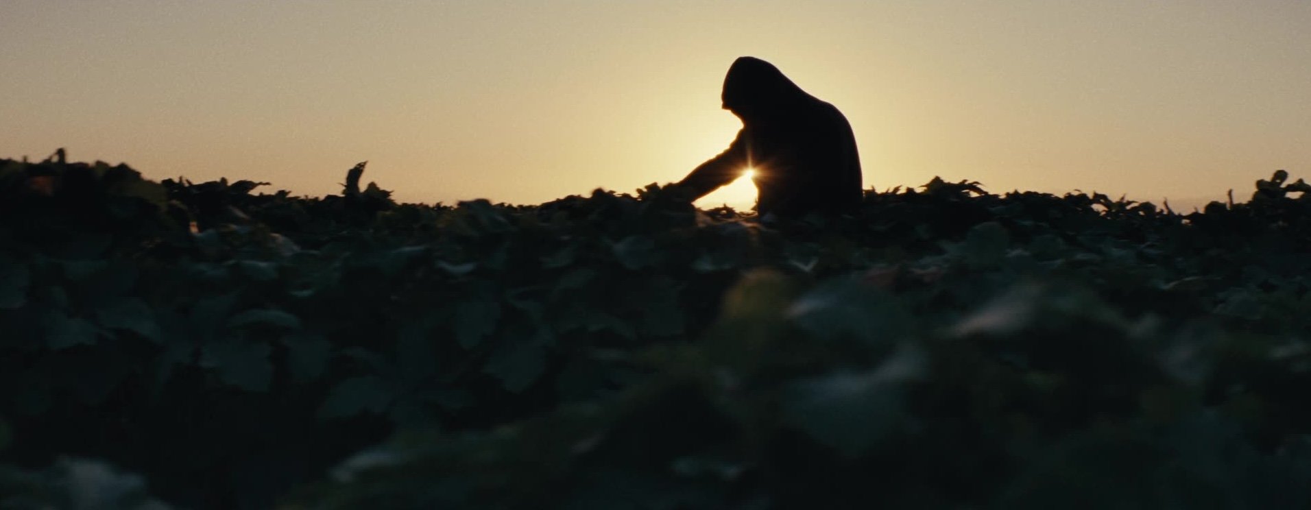 Stories from America's Dining Room: Desert Hotspot