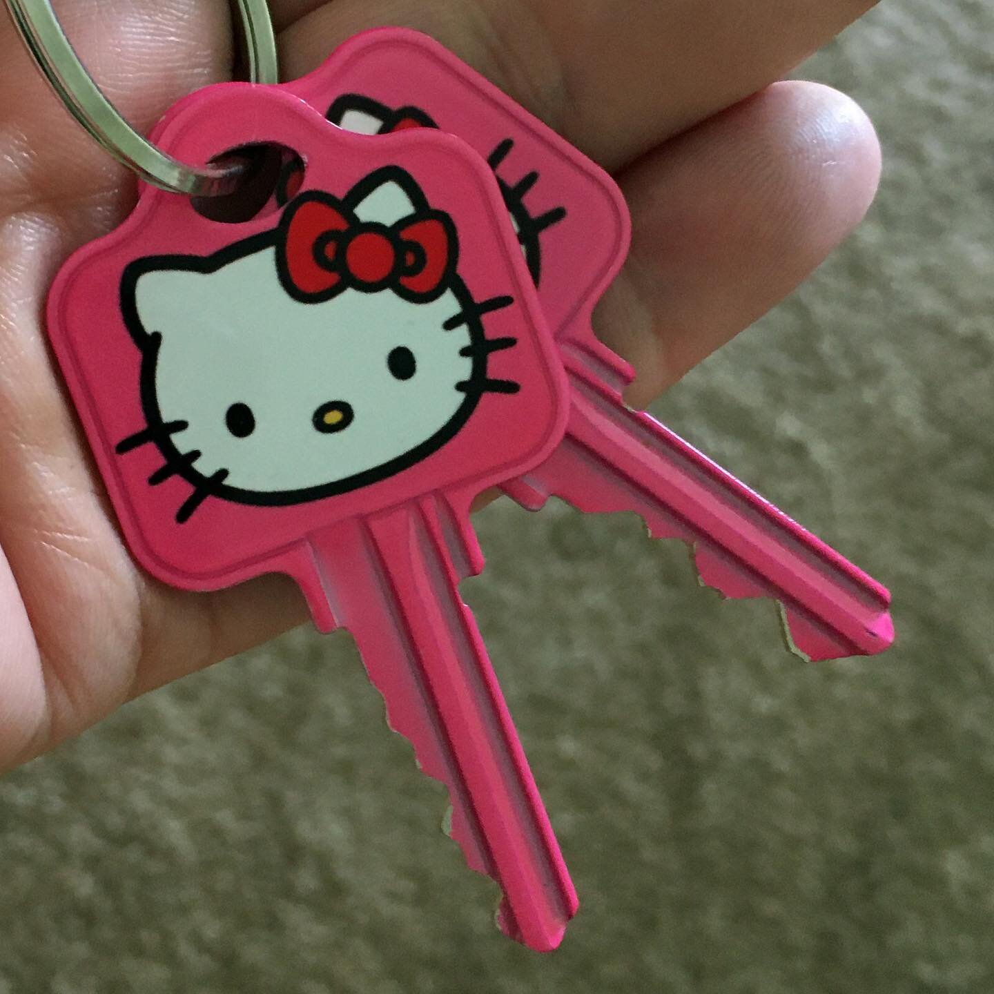 1) I&rsquo;ve moved! 2) Goodbye to the old view. 3) Hello to the new view! 4) First home cooked meal (screwdriver subbing for can opener). #hellokitty #hellonewplace #hellocurry