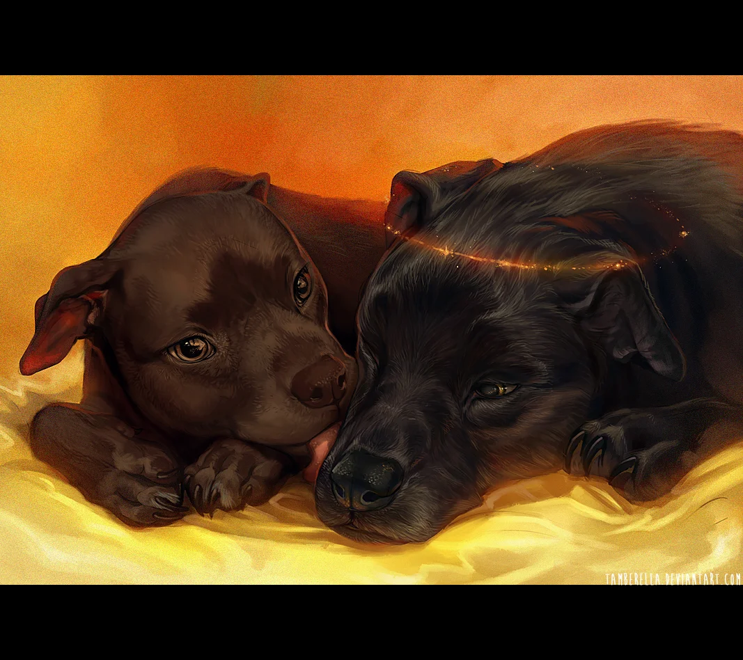 libby_and_cookie_by_tamberella-d7s9tge.jpg