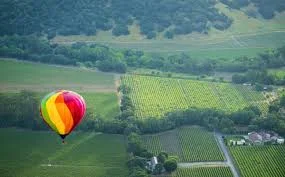 Don't Let Your Reality Beat You Up