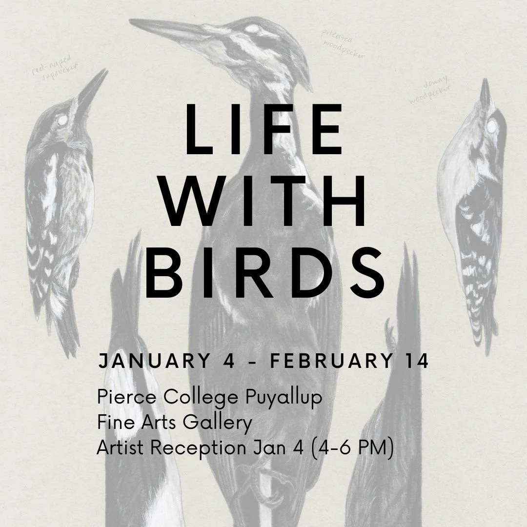 Life With Birds, A Solo Exhibit