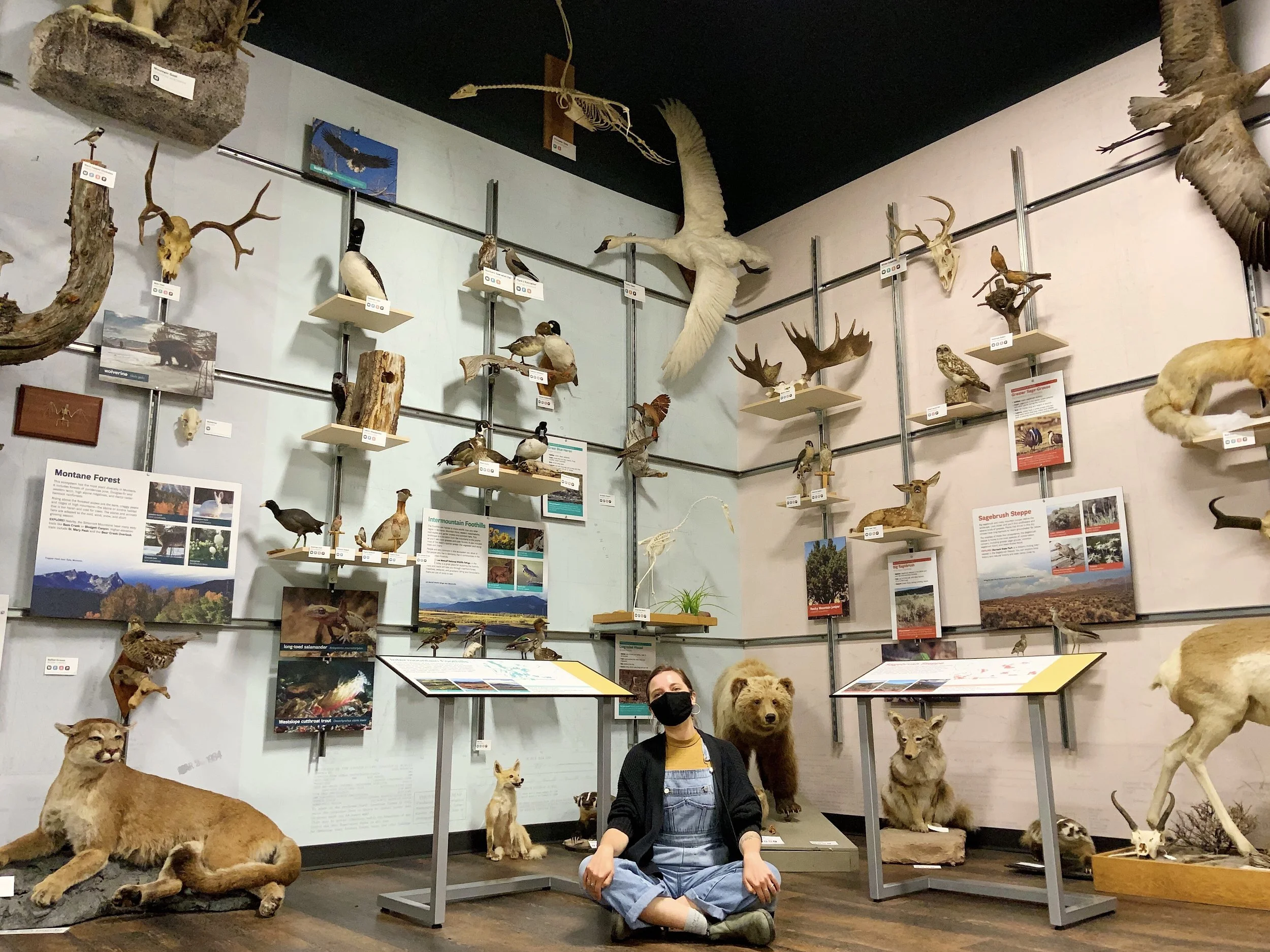 Montana Natural History Center Artist-In-Residence