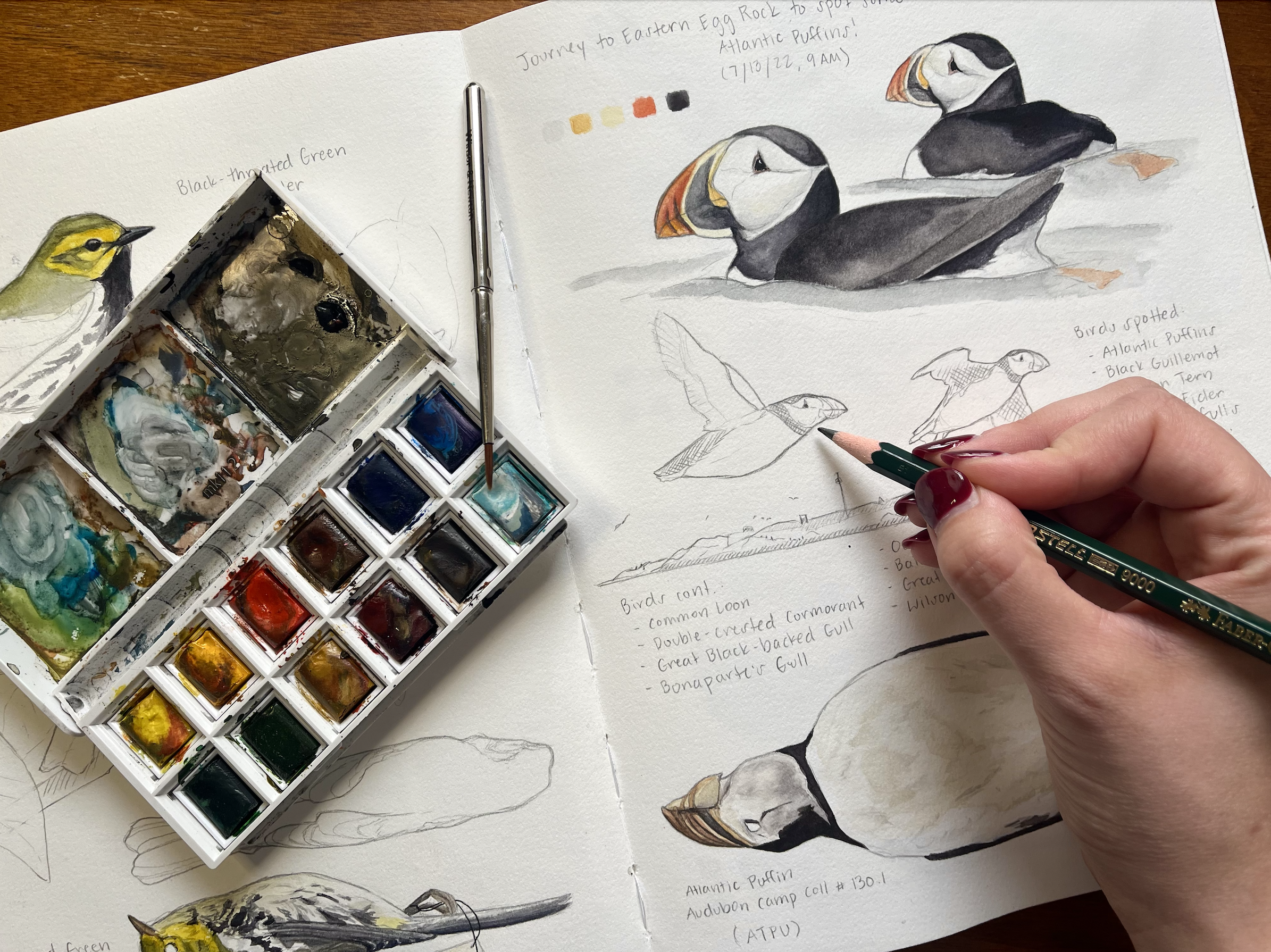 Intermediate Watercolor Workshop