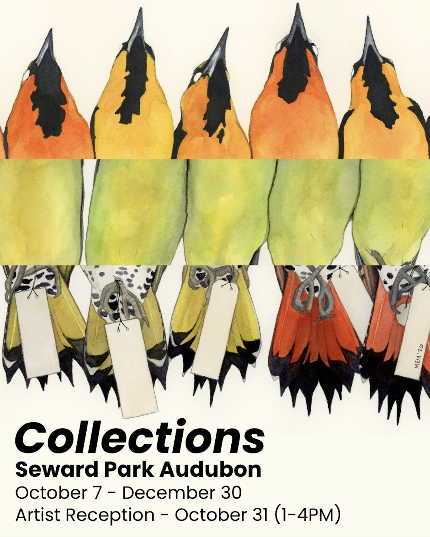Collections - A Solo Exhibit