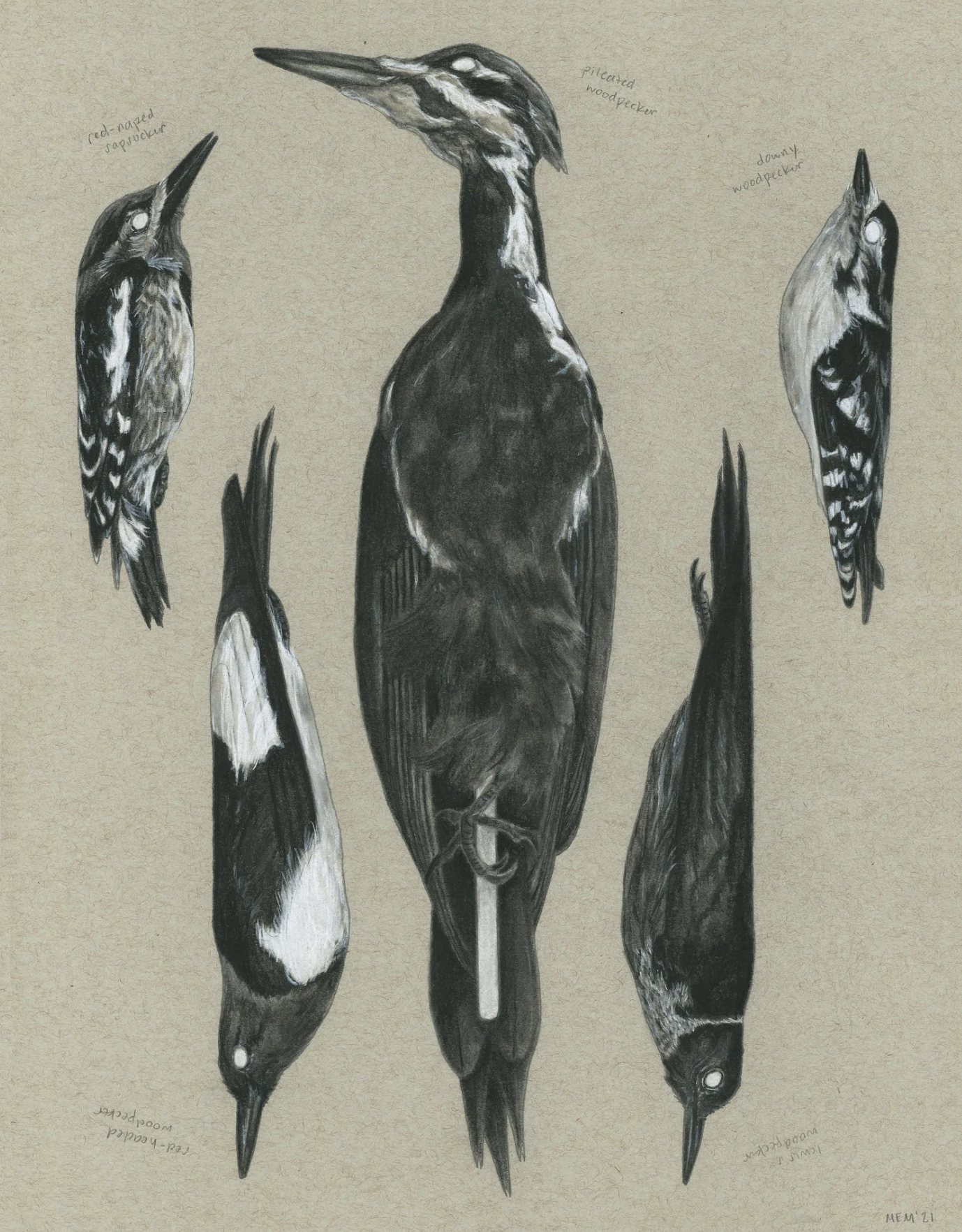 Screenshot 2025-11-10 at 2.38.51 PM.png