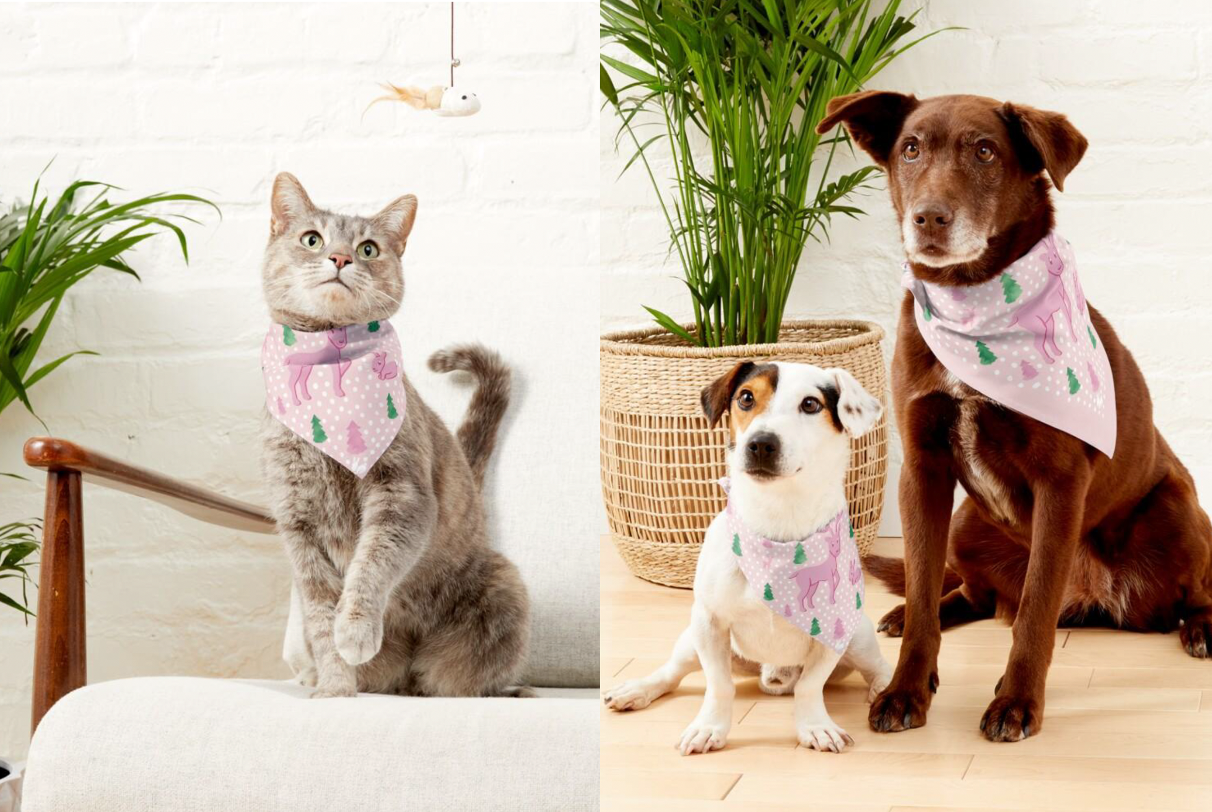 Pet Bandana Mockup