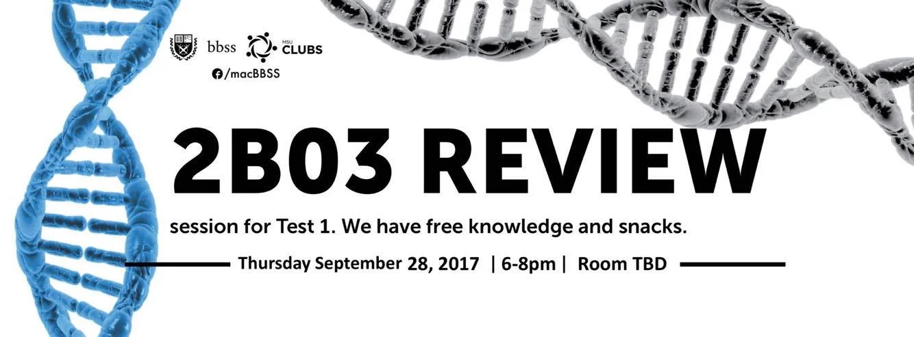 2B03 review 1.jpg