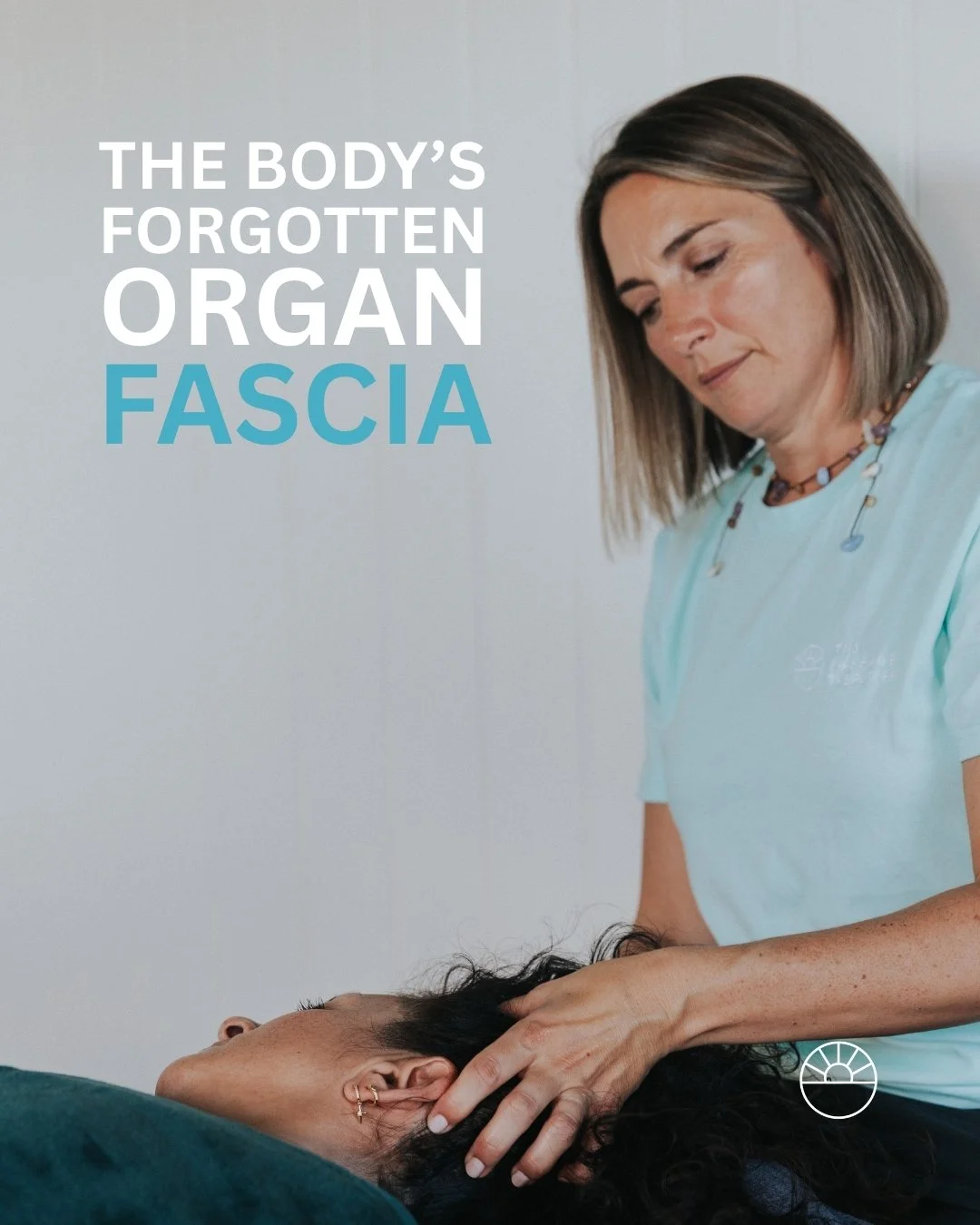 Week 2 of the Level 1 TMJ Massage Therapies&reg; Course is all about fascia, the body&rsquo;s forgotten organ.

This incredible web of connective tissue wraps around everything, creating structure, movement and flow.

When it becomes tight or dehydra